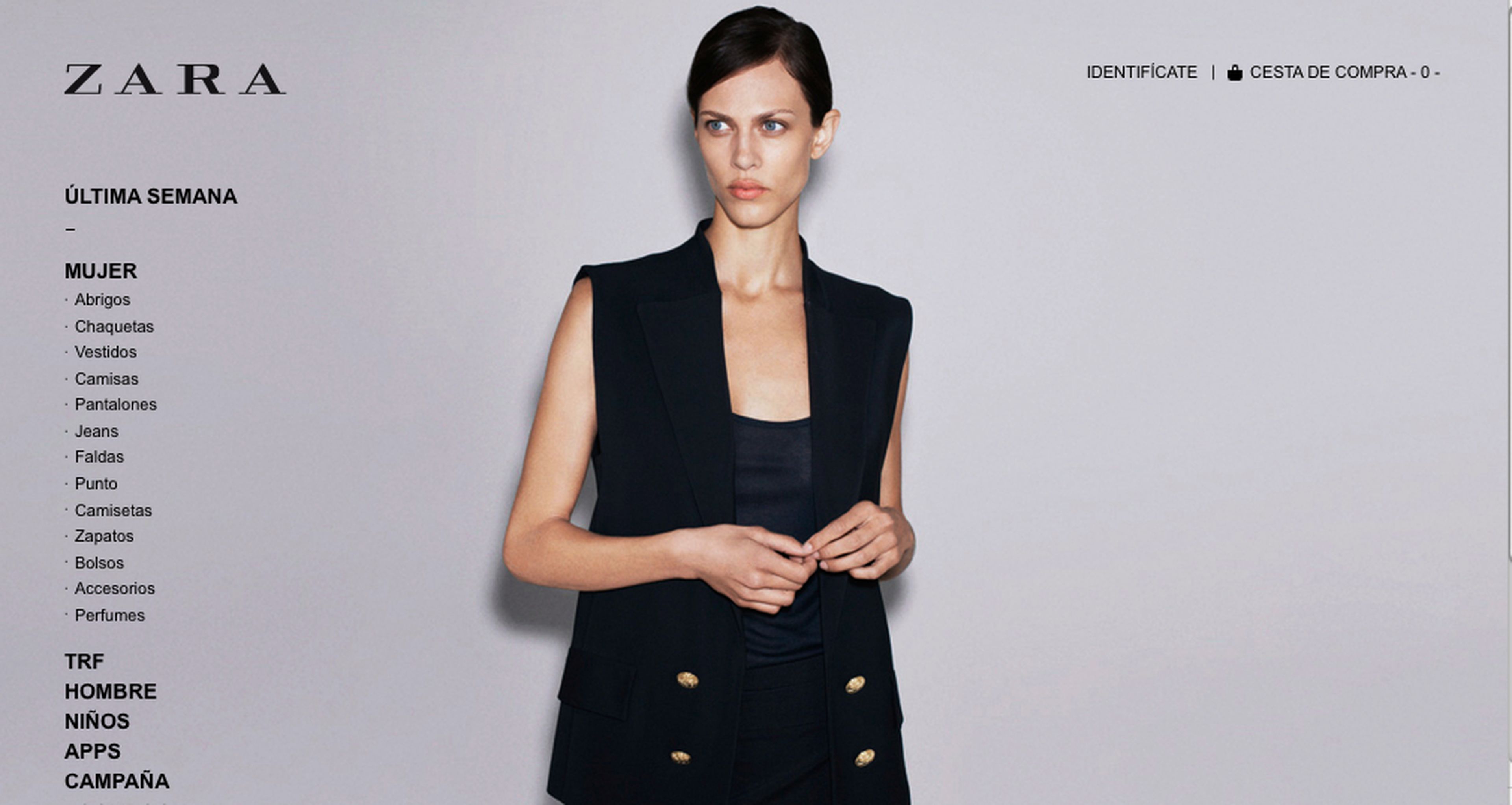 Interfaz de Zara online