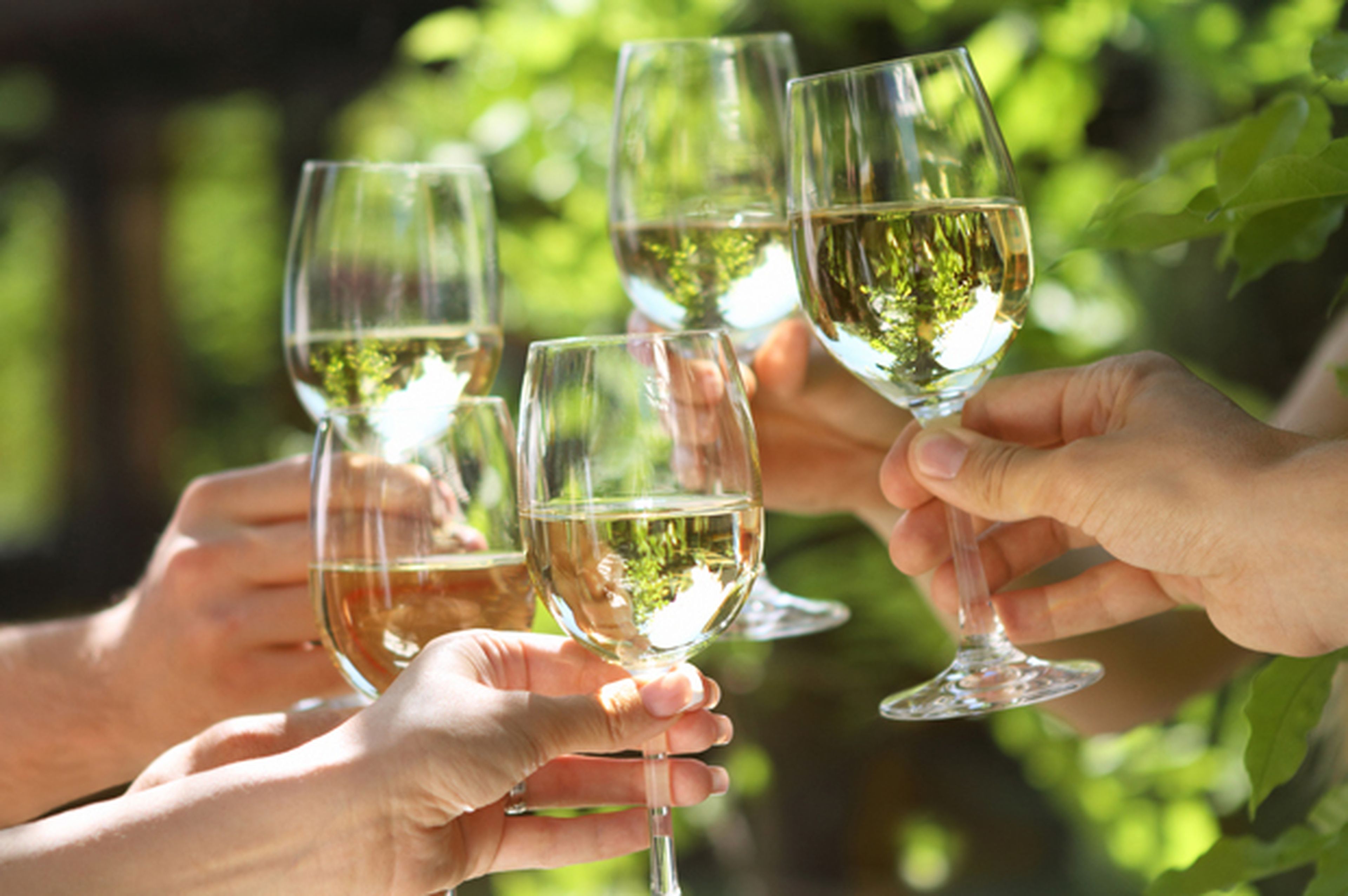 Winsphere es una red social para amantes del vino