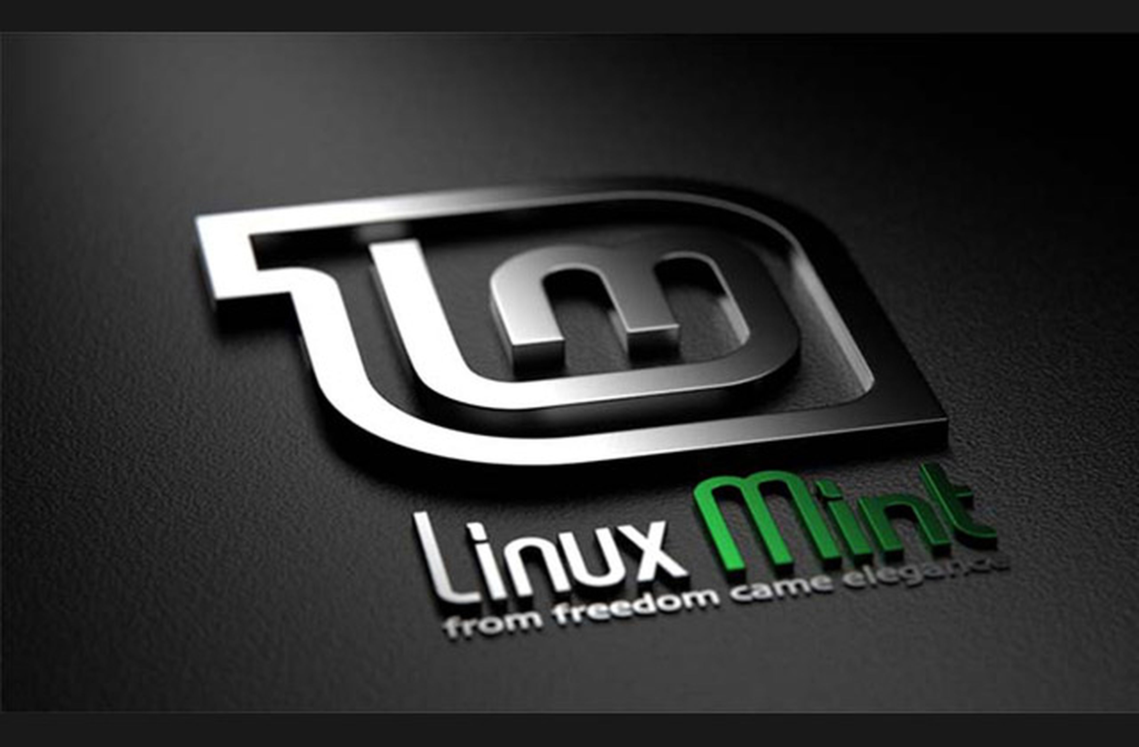 Linux Mint 15