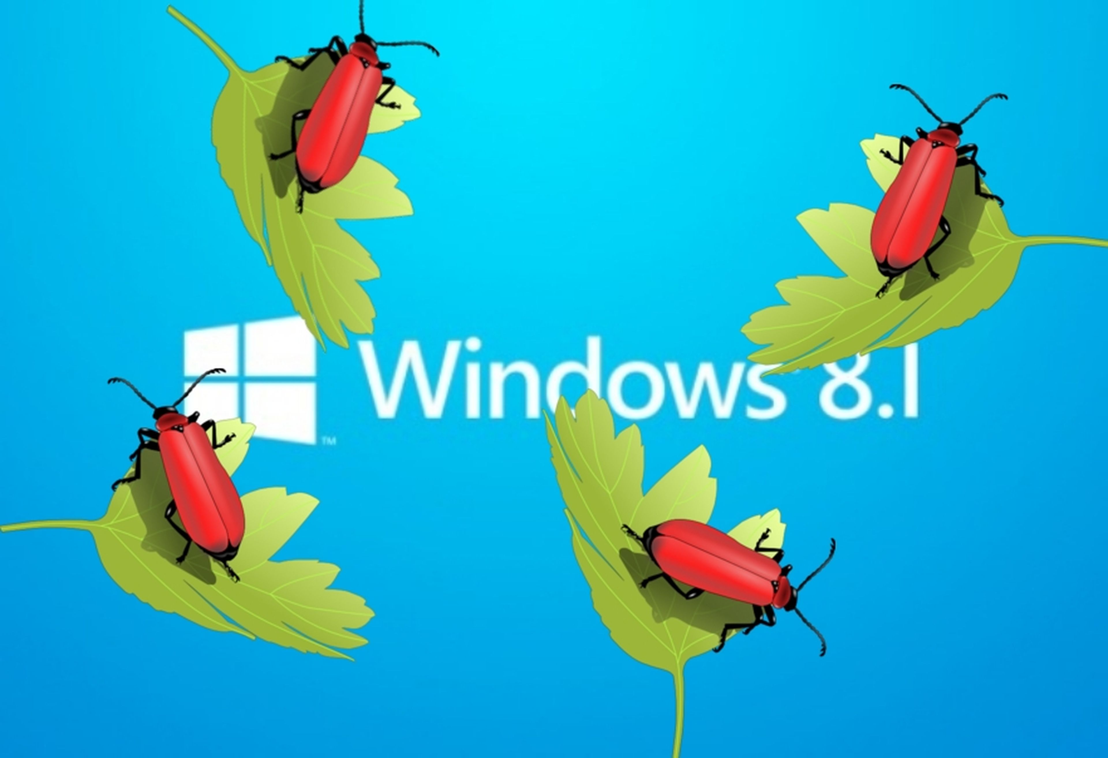 Windows 8 Preview bugs