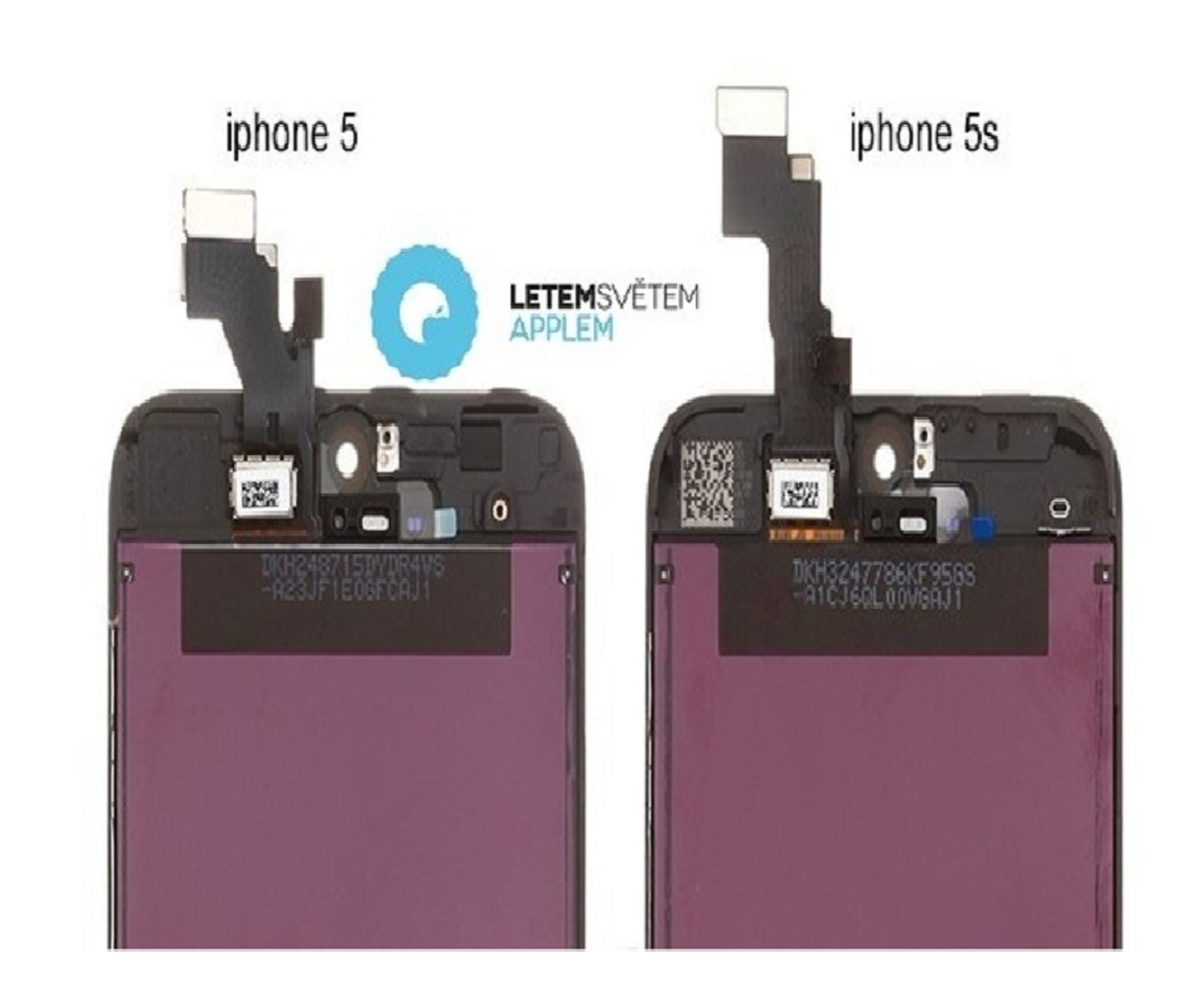 Nuevas imágenes diferencian el iPhone 5 y el iPhone 5S