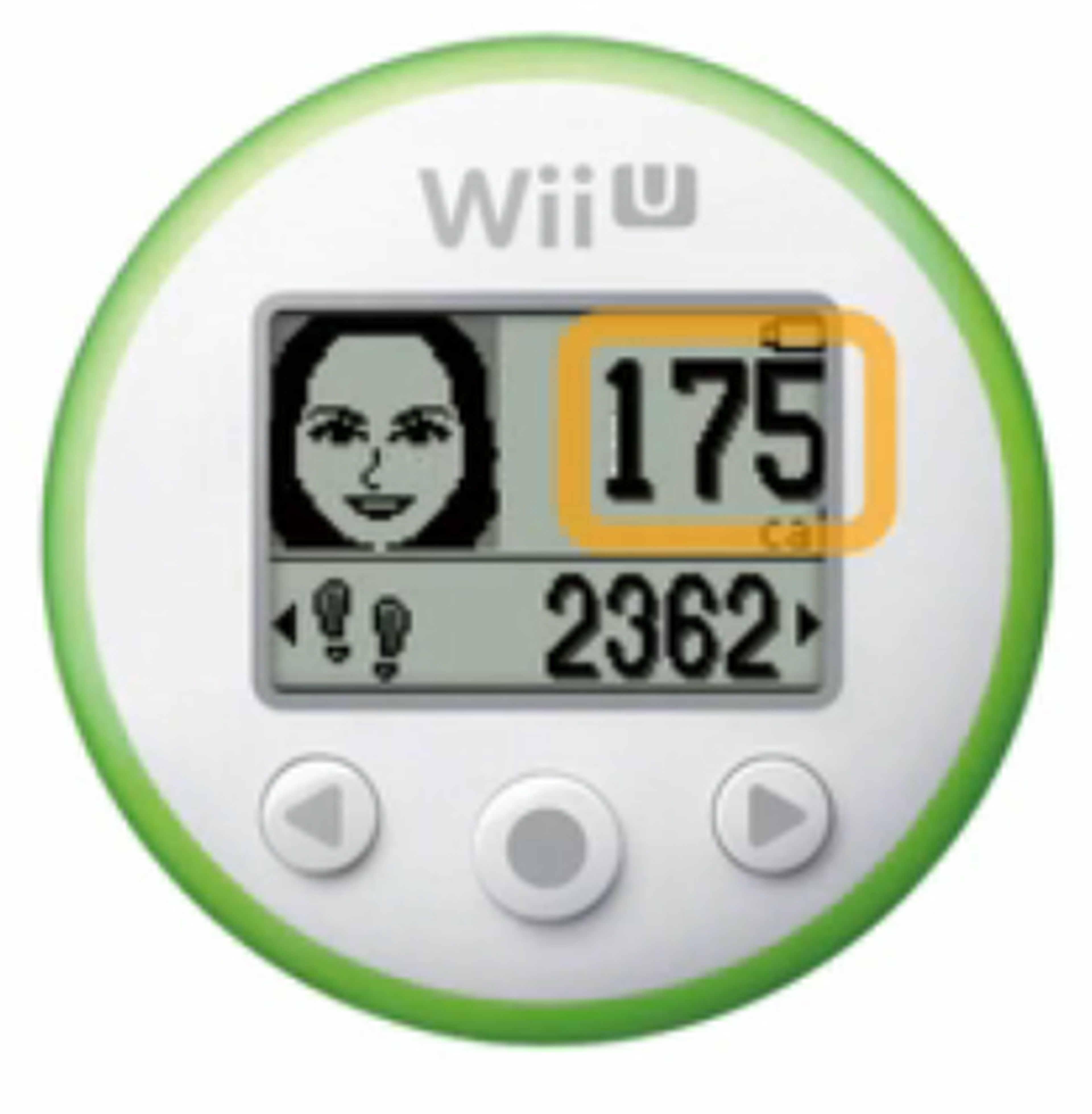 Wii Fit meter