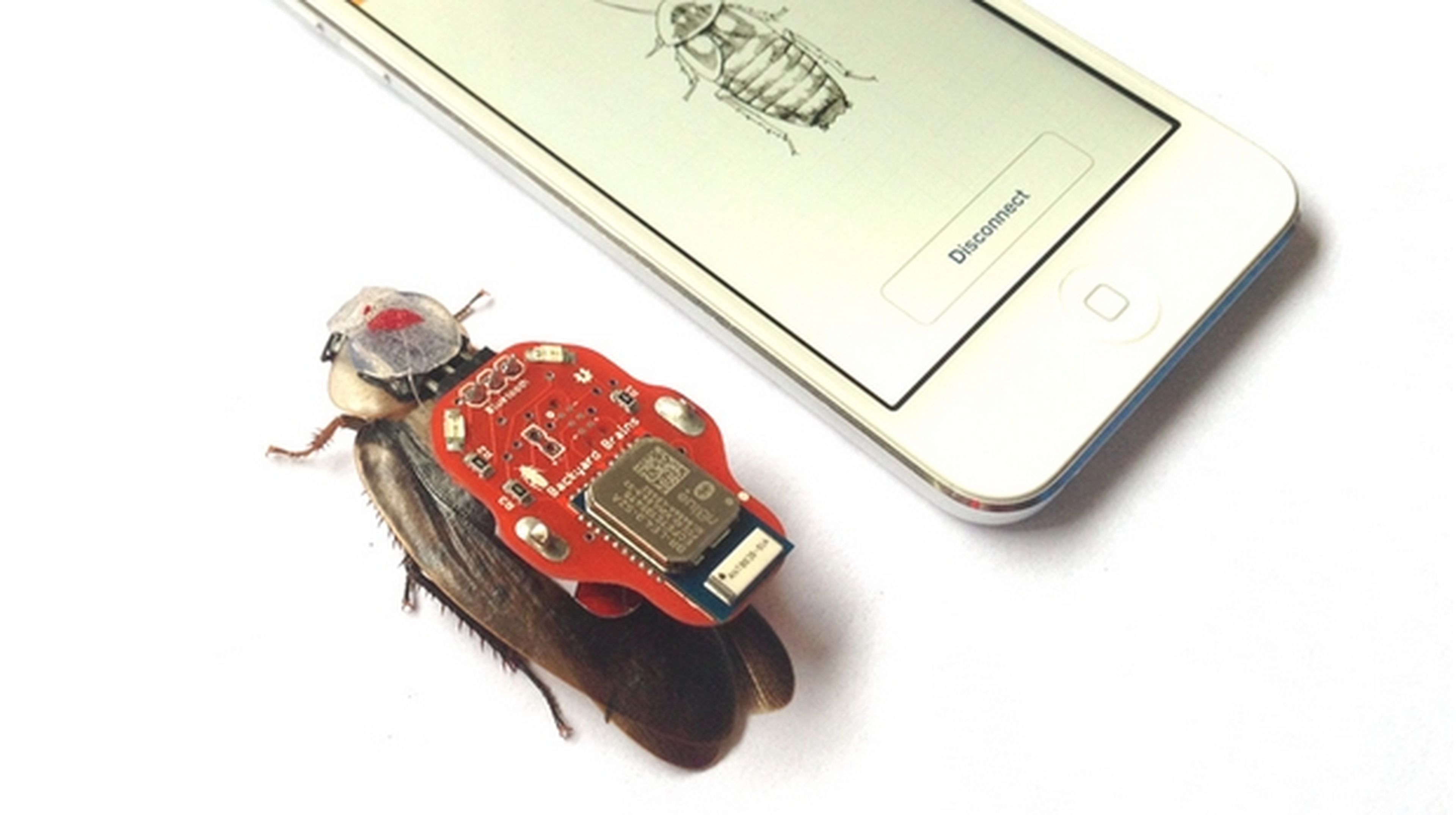 RoboRoach: controla los movimientos de una cucaracha viva con tu smartphone