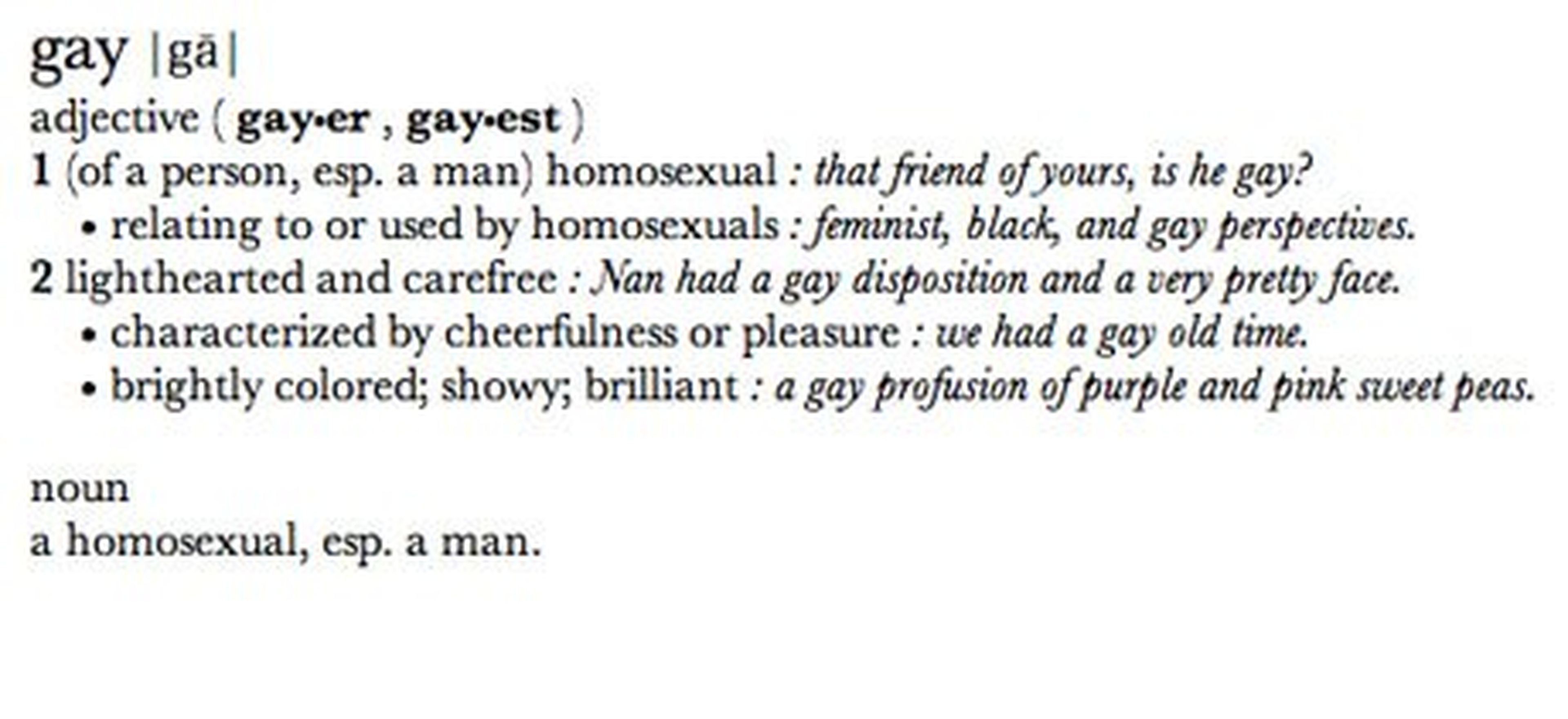 definición "gay" diccionario apple corregida