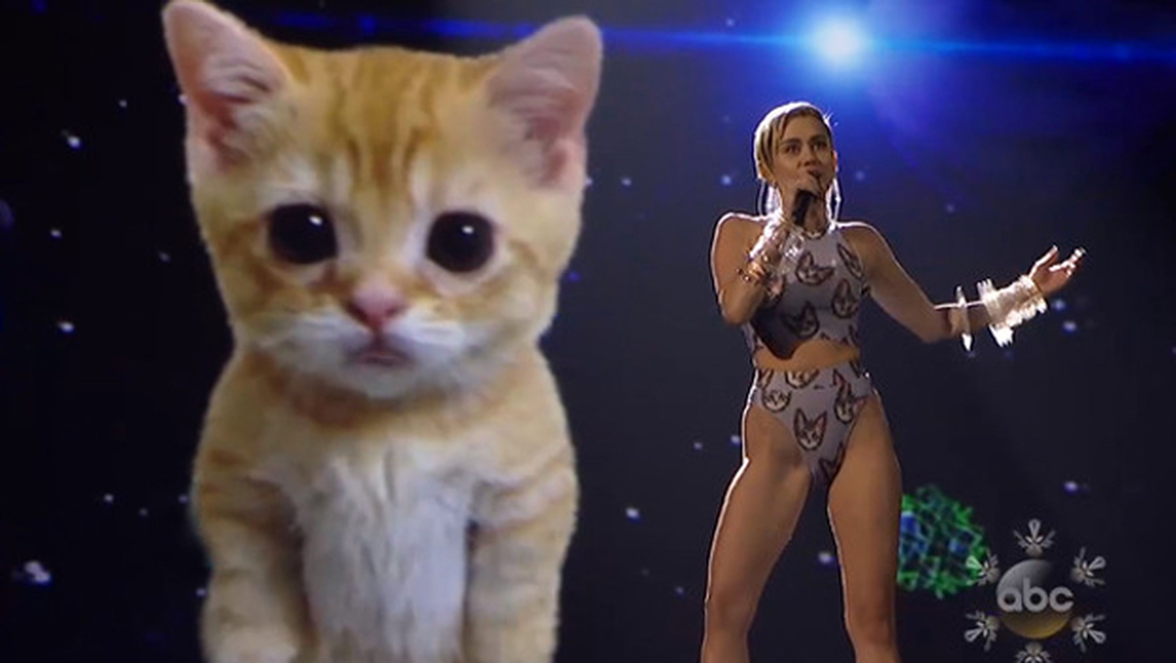 Miley Cyrus y un gato virtual en los American Music Awards