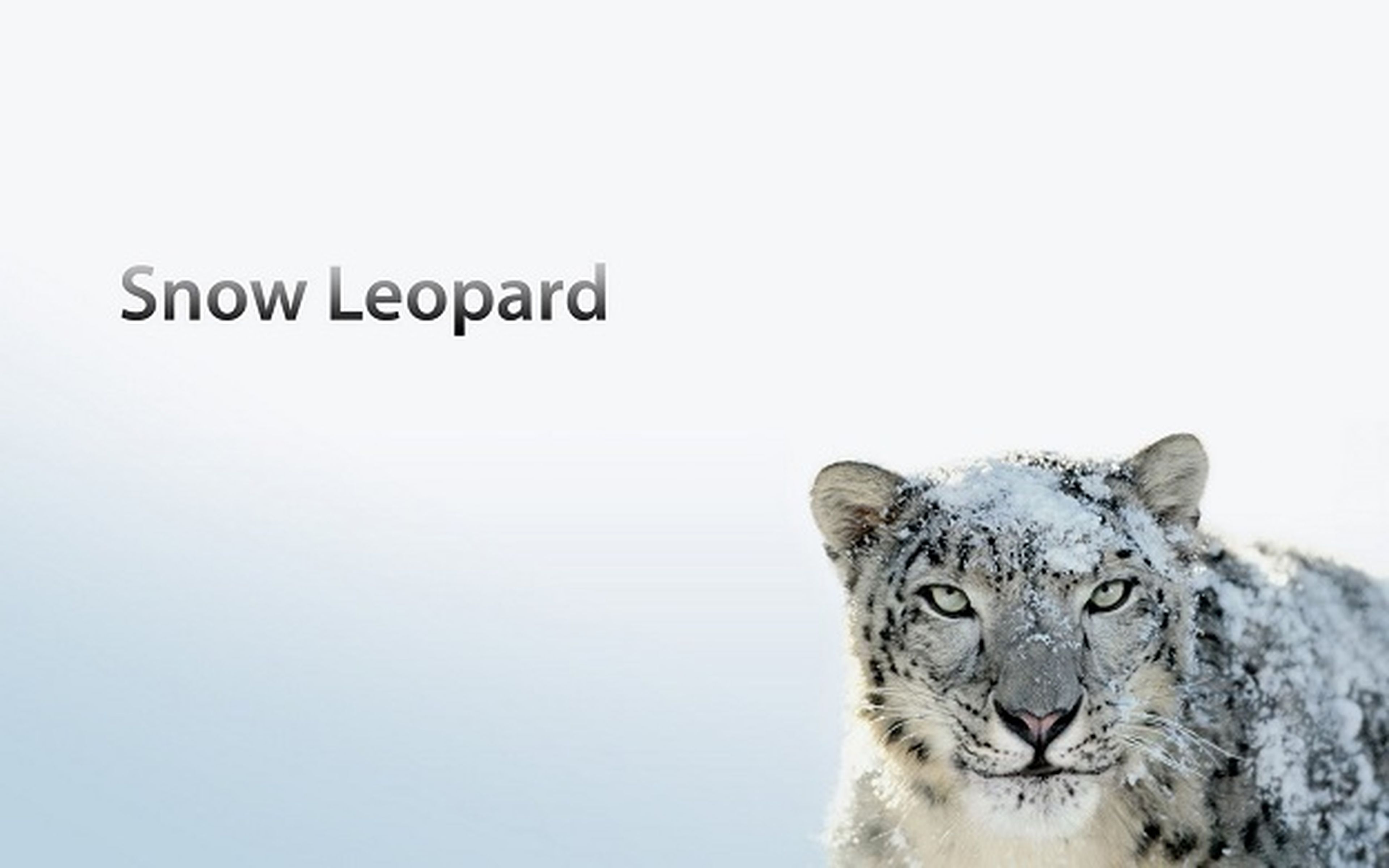 Apple, Mac, OS X Snow Leopard