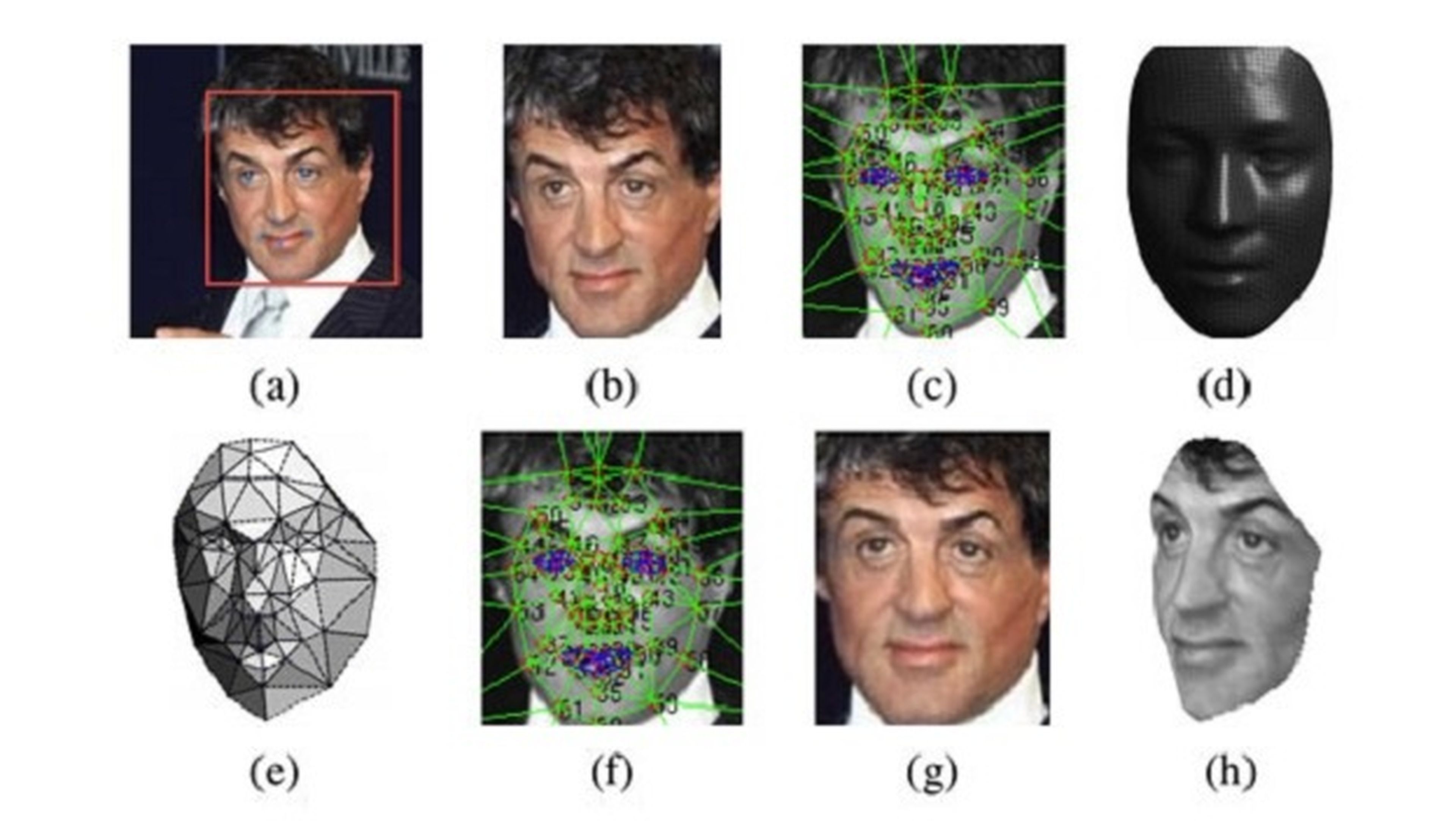 Software inteligencia artificial verificación facial Facebook