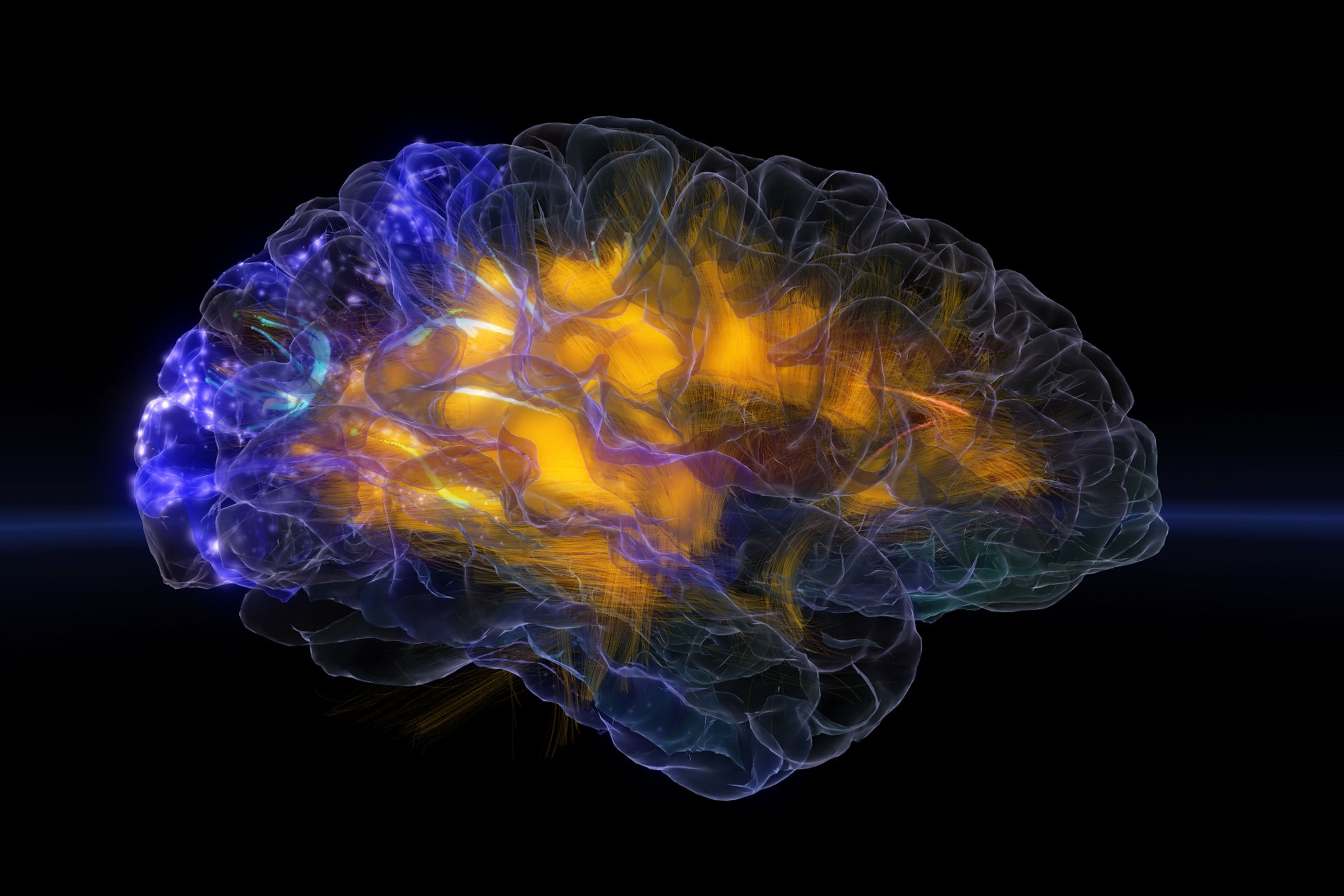 Glass Brain permite escanear el cerebro y visualizar en tiempo real y en tres dimensiones la actividad cerebral
