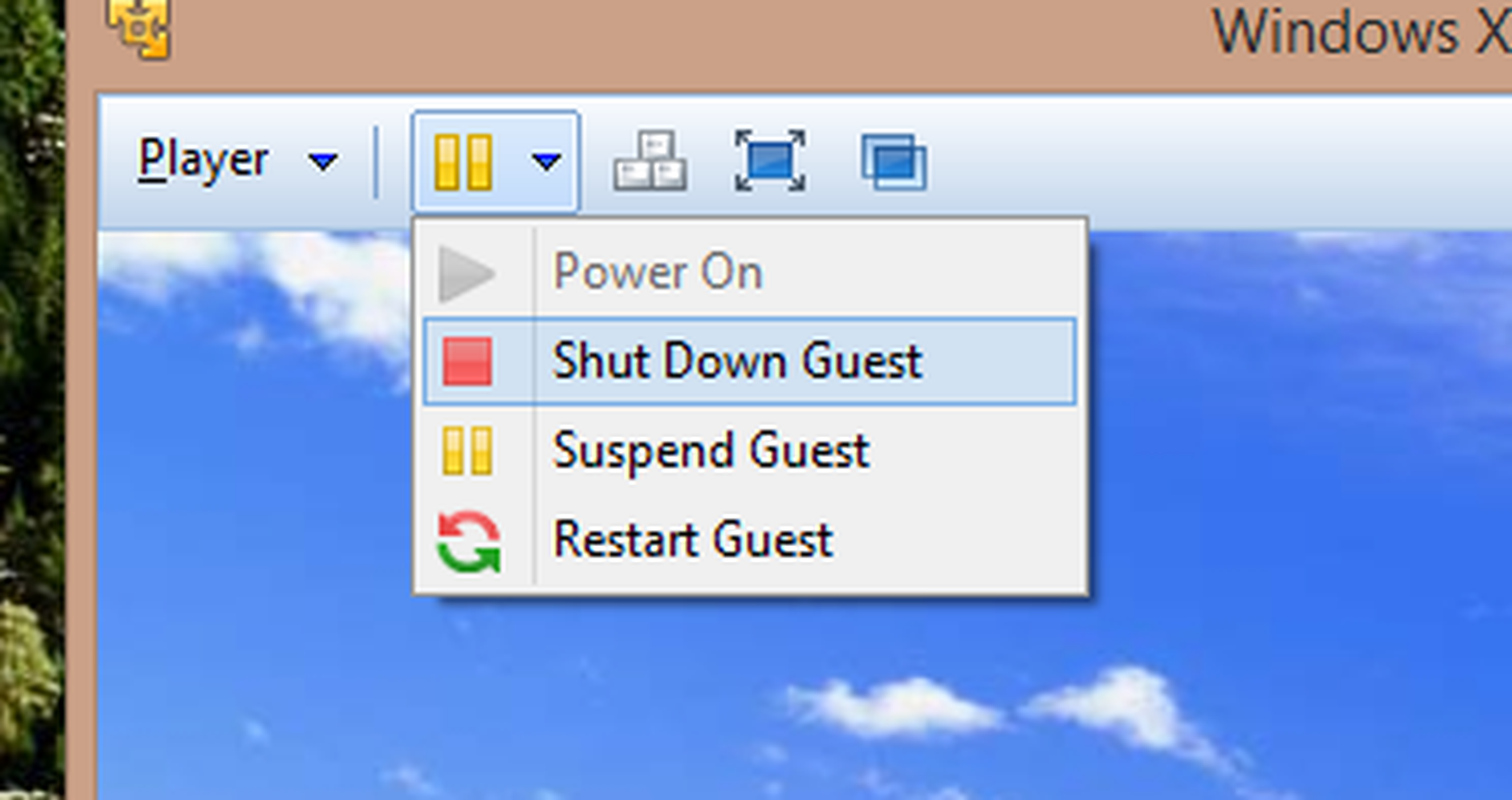 Shut down guest