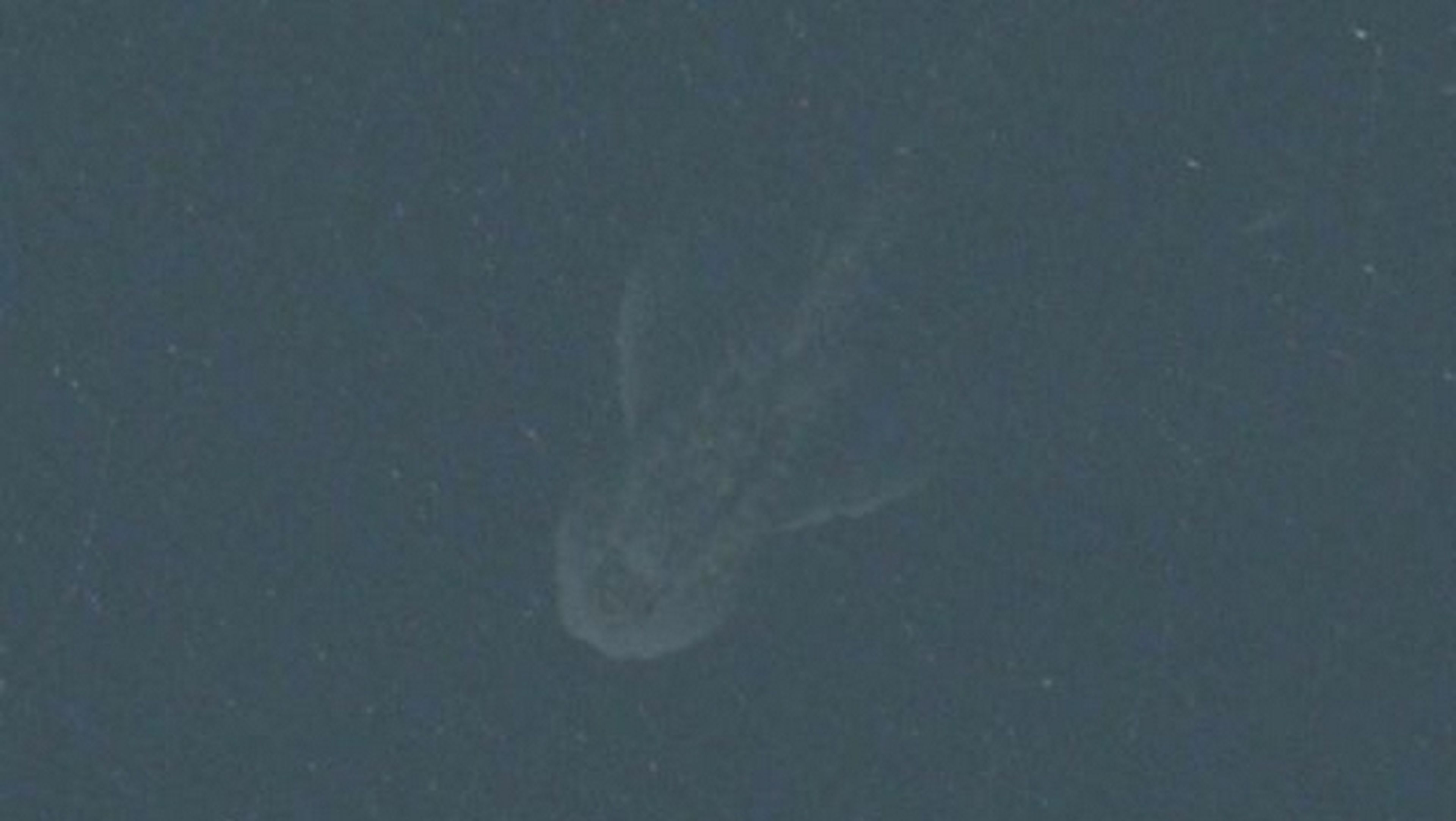 Encuentran al Monstruo del Lago Ness en las fotos de satélite de los Mapas de Apple