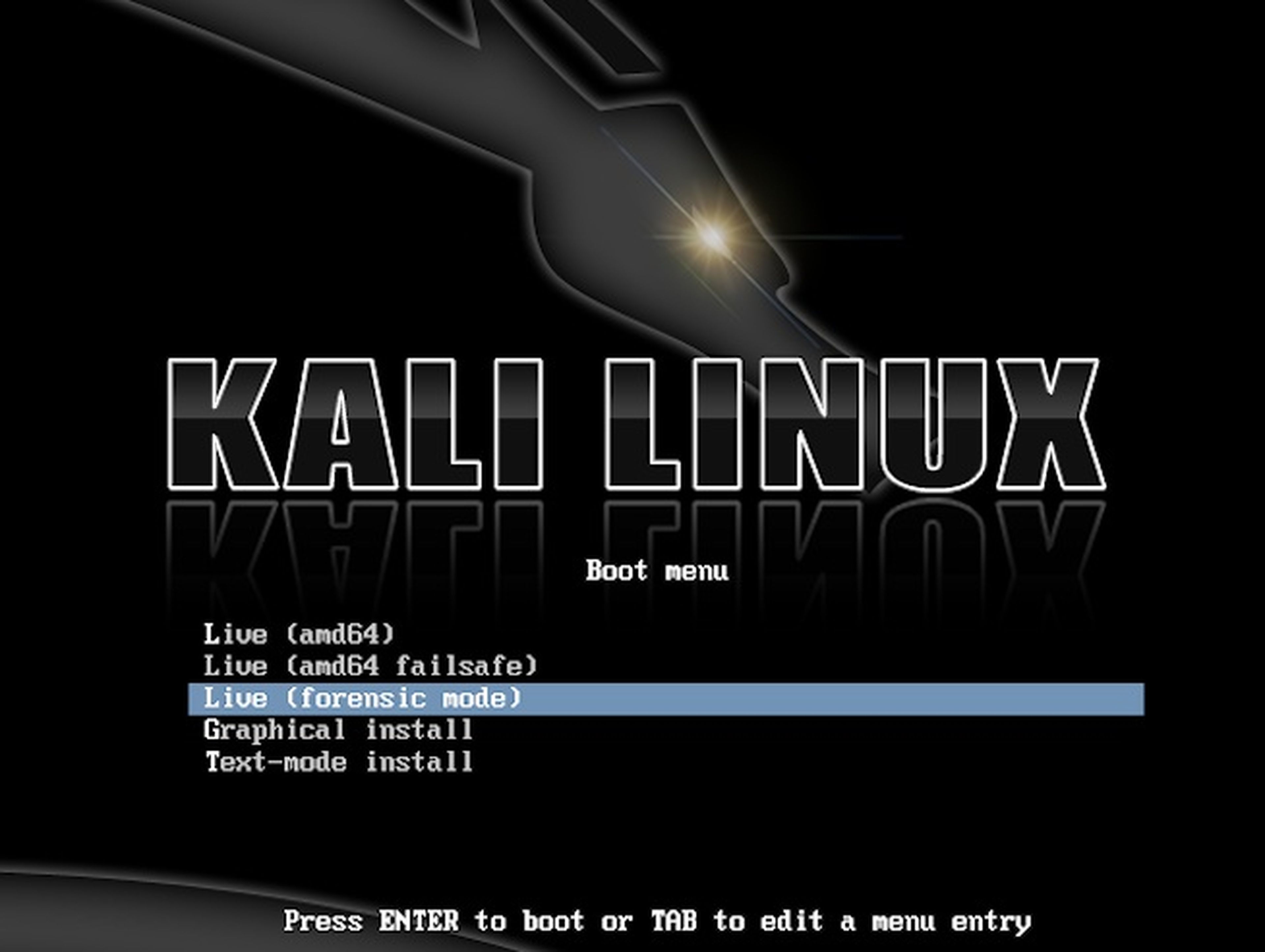 Kali Linux se especializa en la seguridad informática