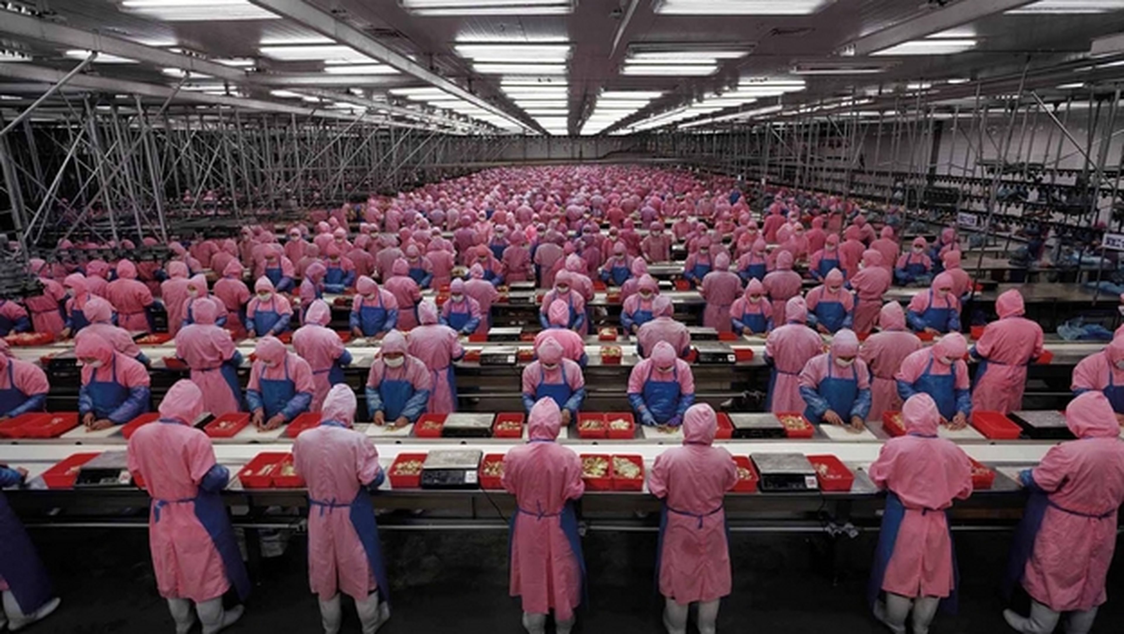 Foxconn contratará a 100.000 trabajadores chinos para fabricar el iPhone 6. Pegatron aumenta su plantilla un 30%