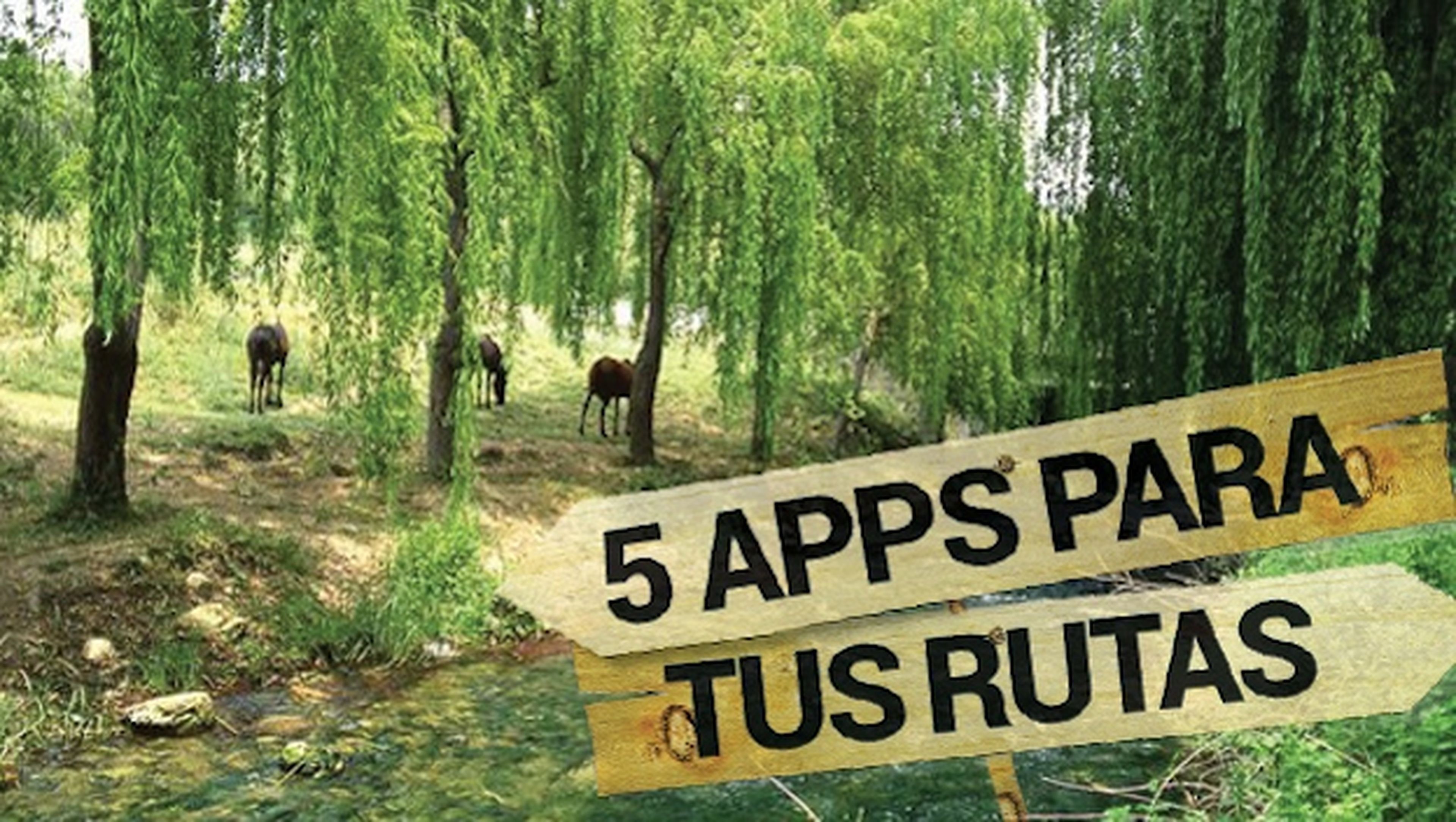 Las mejores apps para rutas y excursiones