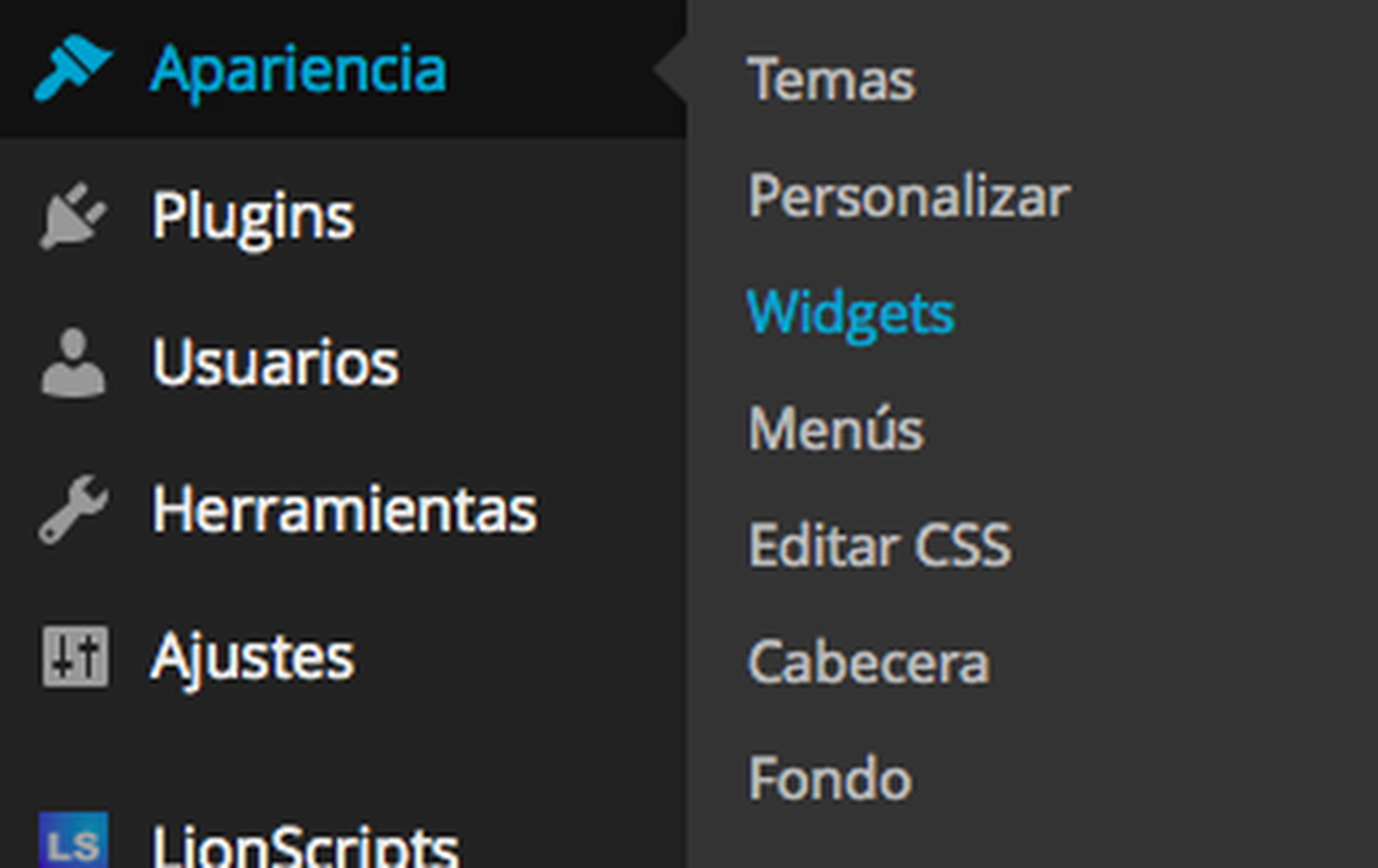 Widgets Wordpress