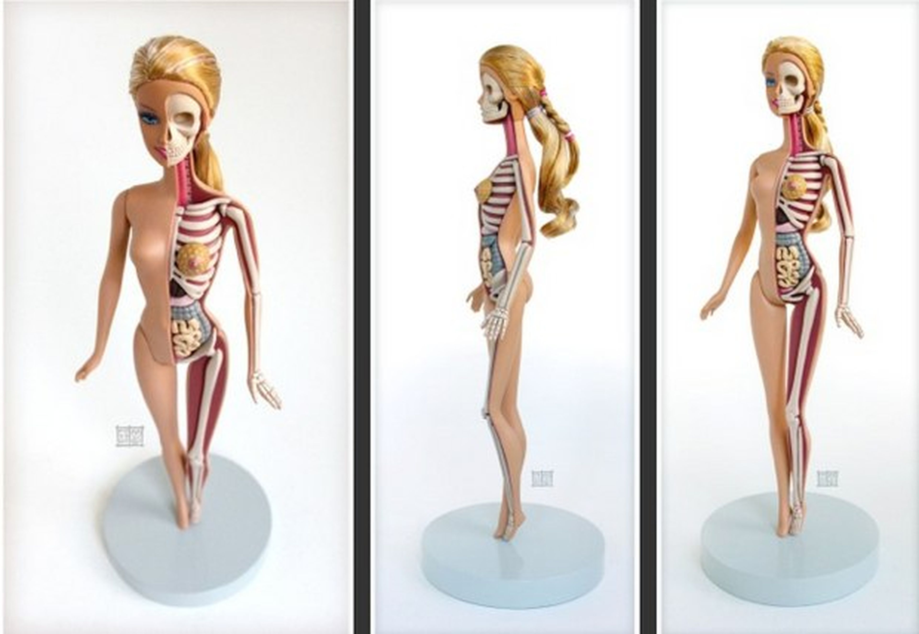 Barbie diseccionada Jason Freeny