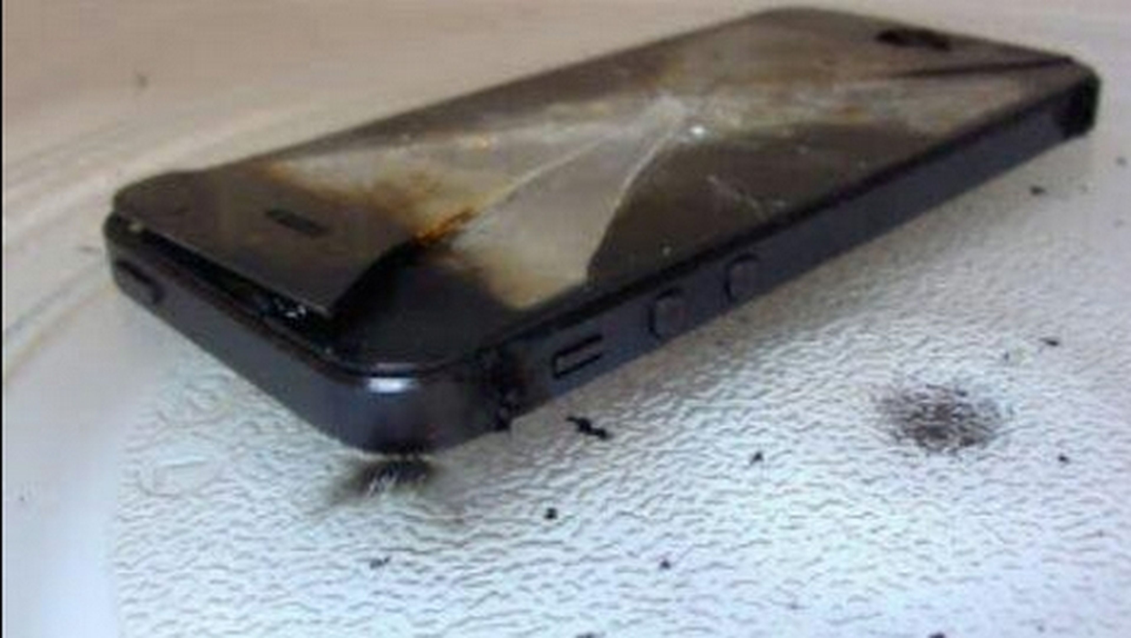 Queman su iPhone en el microondas por falso rumor de recarga en iOS 8.