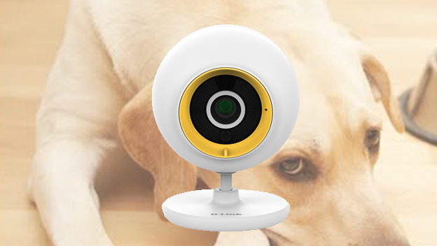 Lo último cámaras seguridad, para mascotas | Computer Hoy
