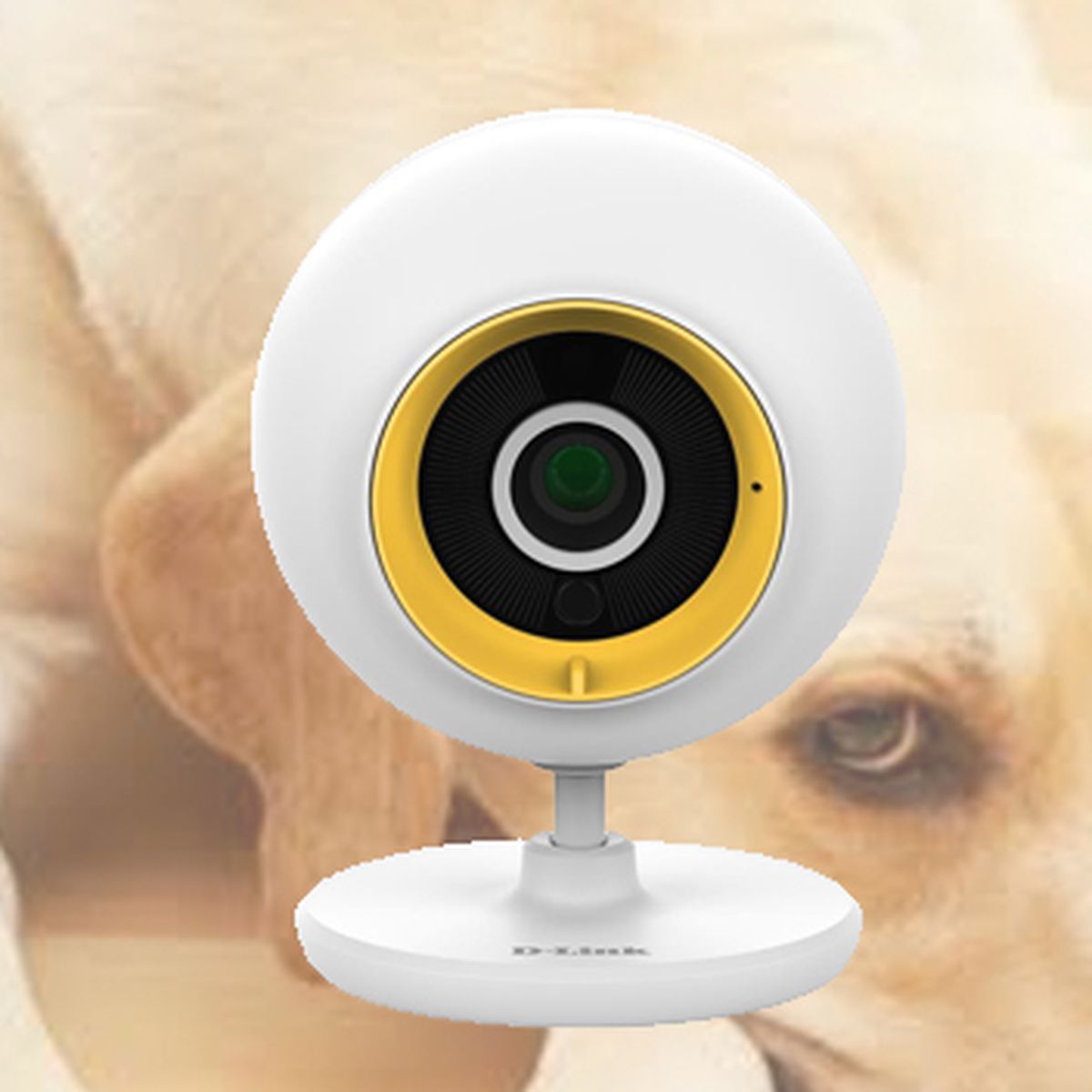 La cámara de vigilancia que todo dueño de mascota necesita: reseña y  demostración 