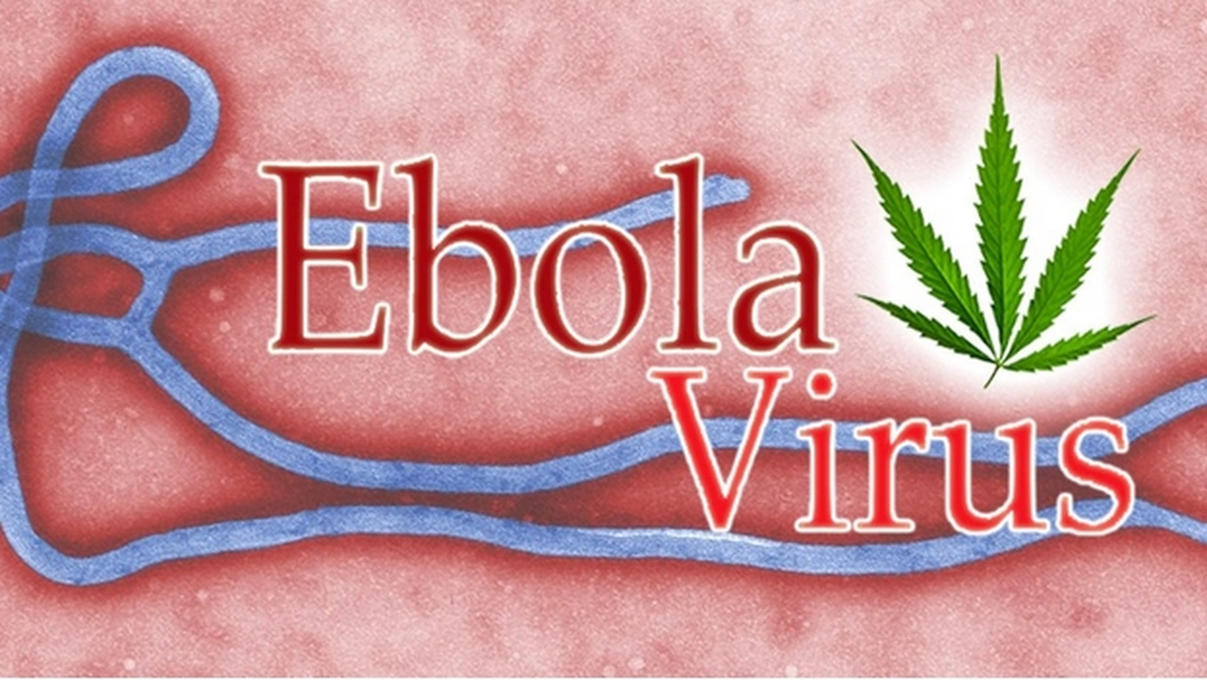 Dominio Ebola.com vendido por 200.000$ a empresa de cannabis.