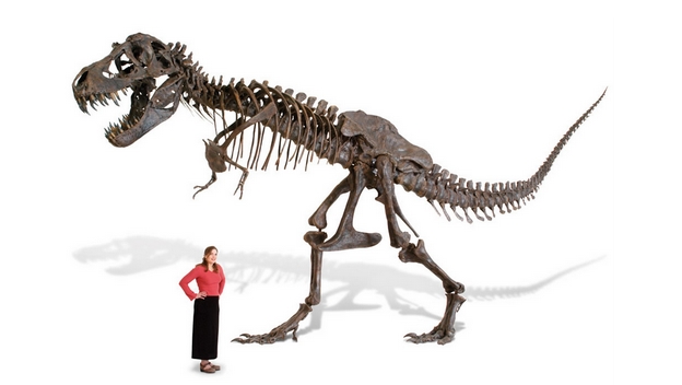 Ya puedes pedir a los Reyes un T-Rex... de tamaño real | Computer Hoy