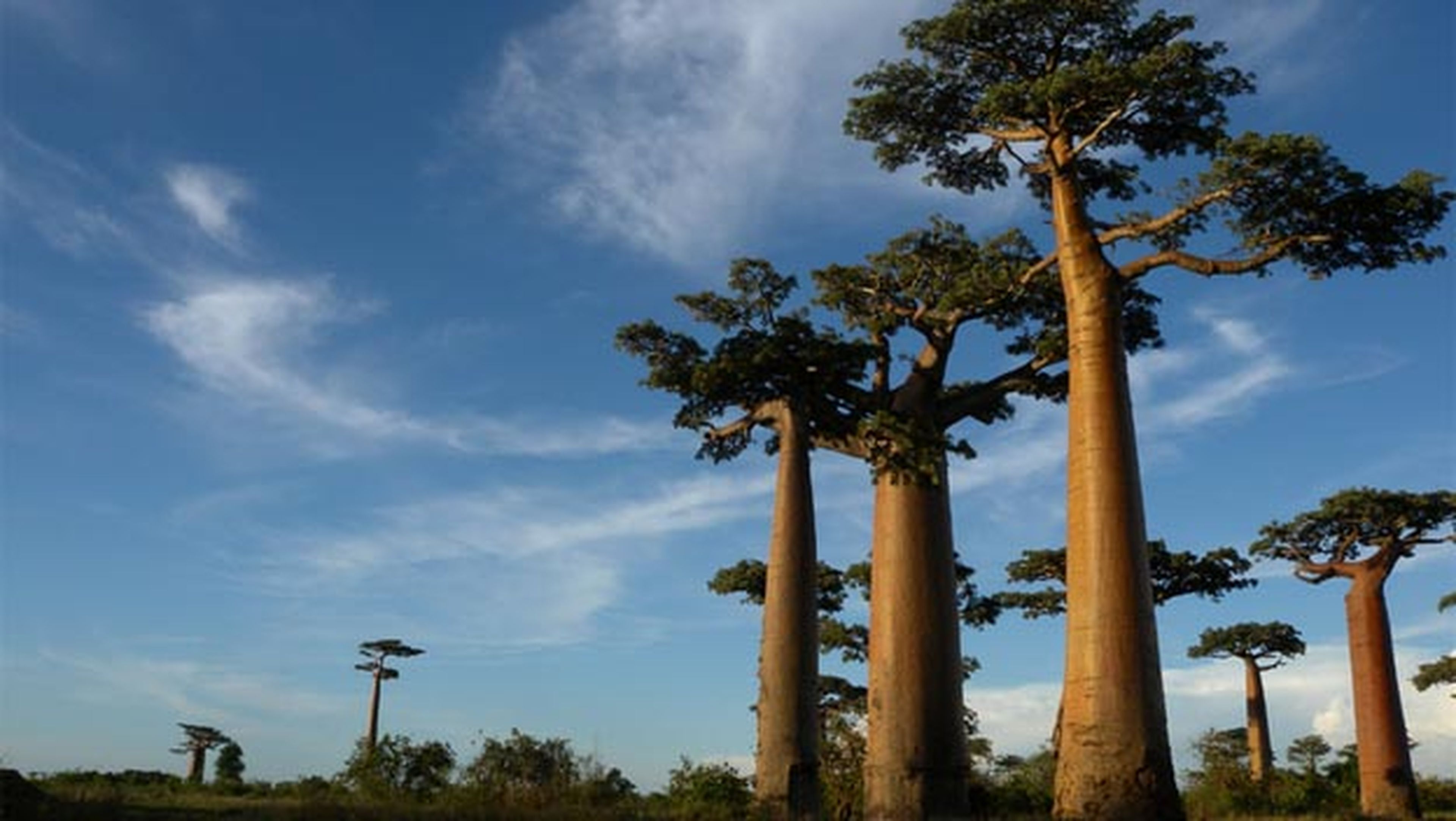 Madagascar lugares Tierra que desaparecerán