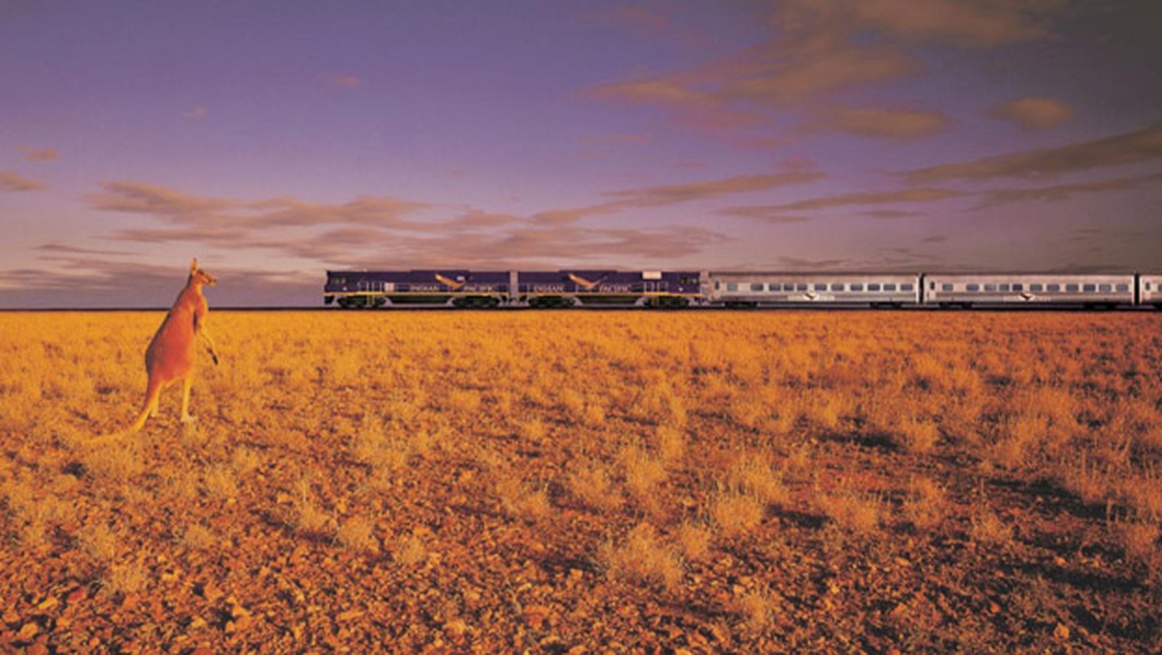 Indian Pacific viajes extraordinarios exclusivos