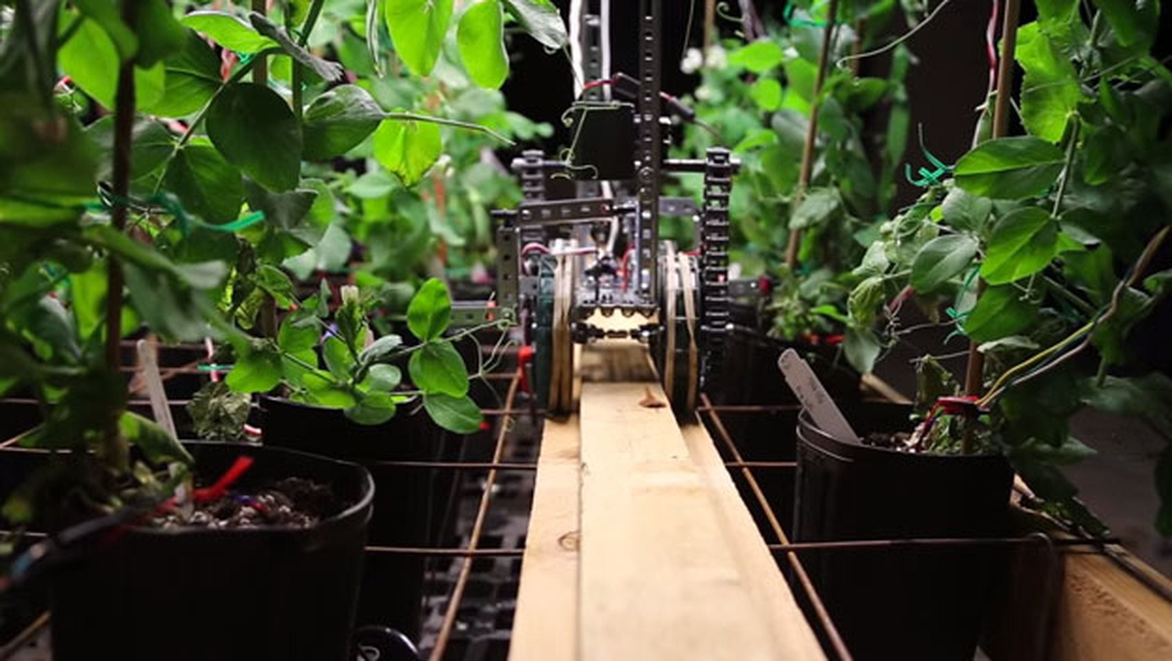 robot para prevenir sequía 10 tecnologías hacen que el mundo sea lugar mejor