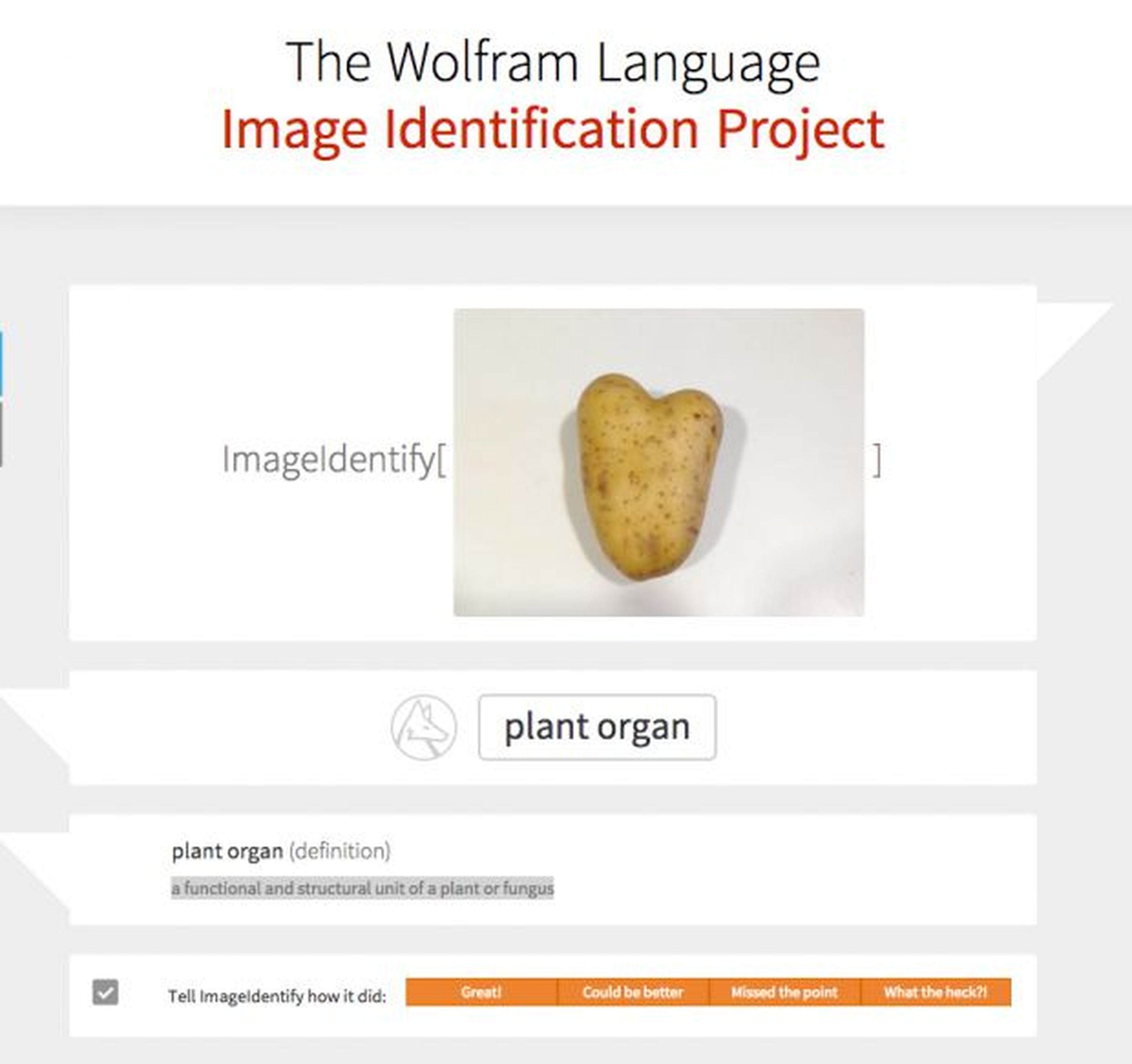 Wolfram Alpha te ayuda a identificar imágenes con Image Identify
