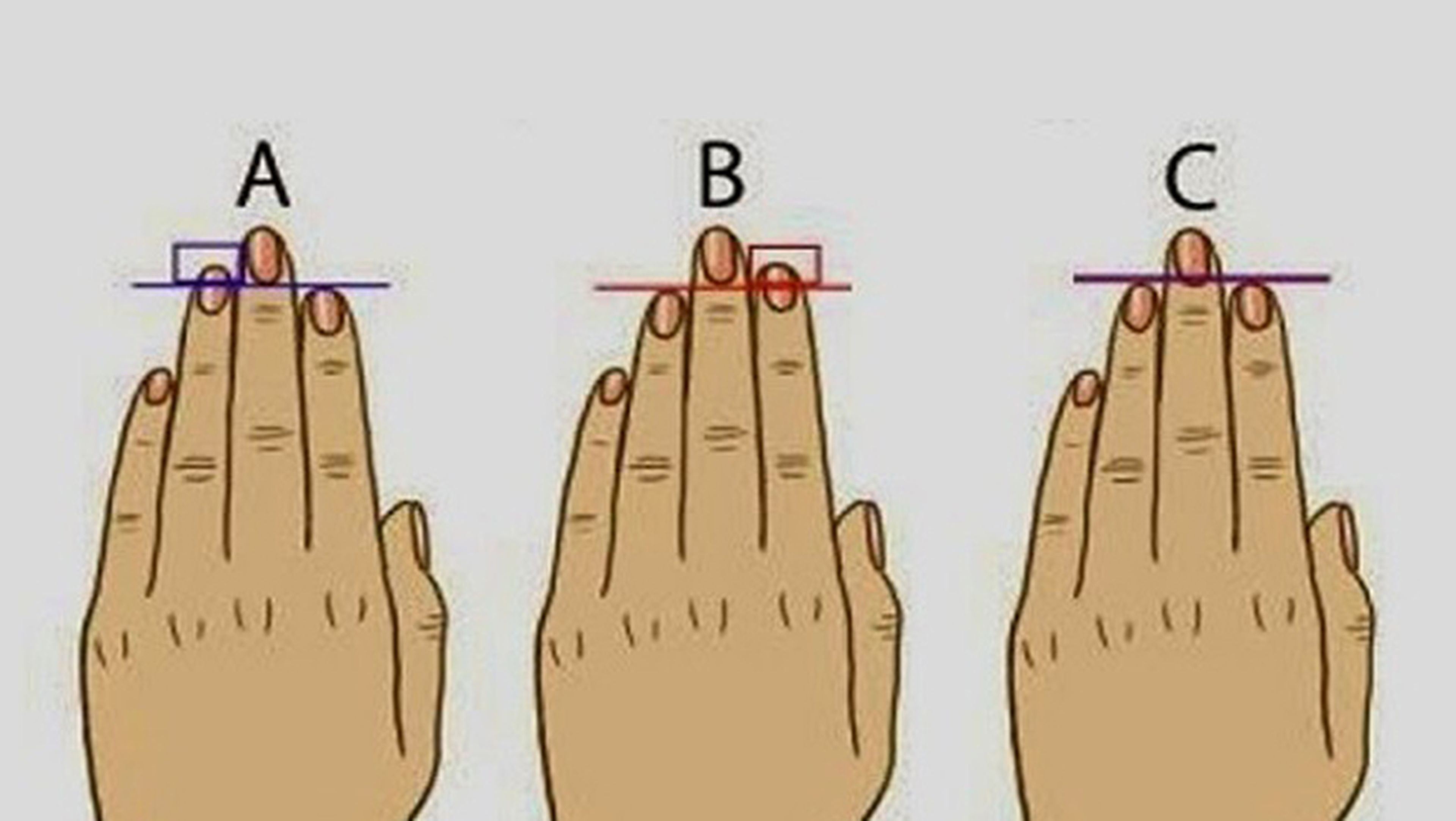 longitud dedos podría revelar personalidad