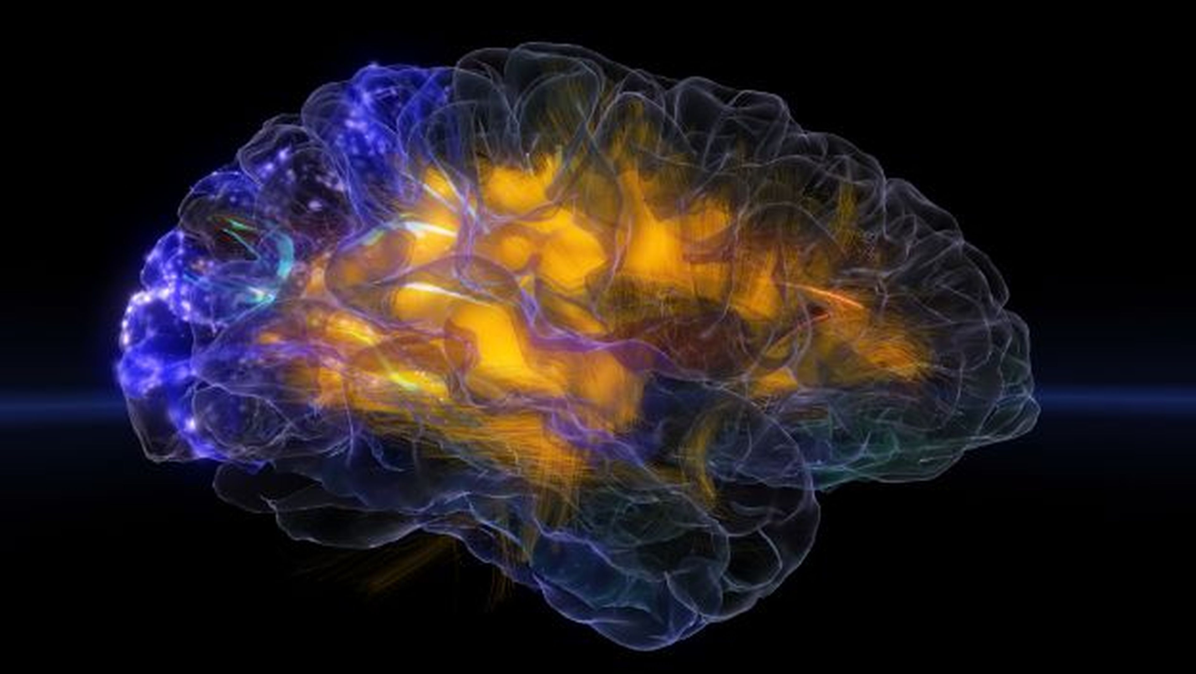Las ondas cerebrales podrían sustituir a las contraseñas