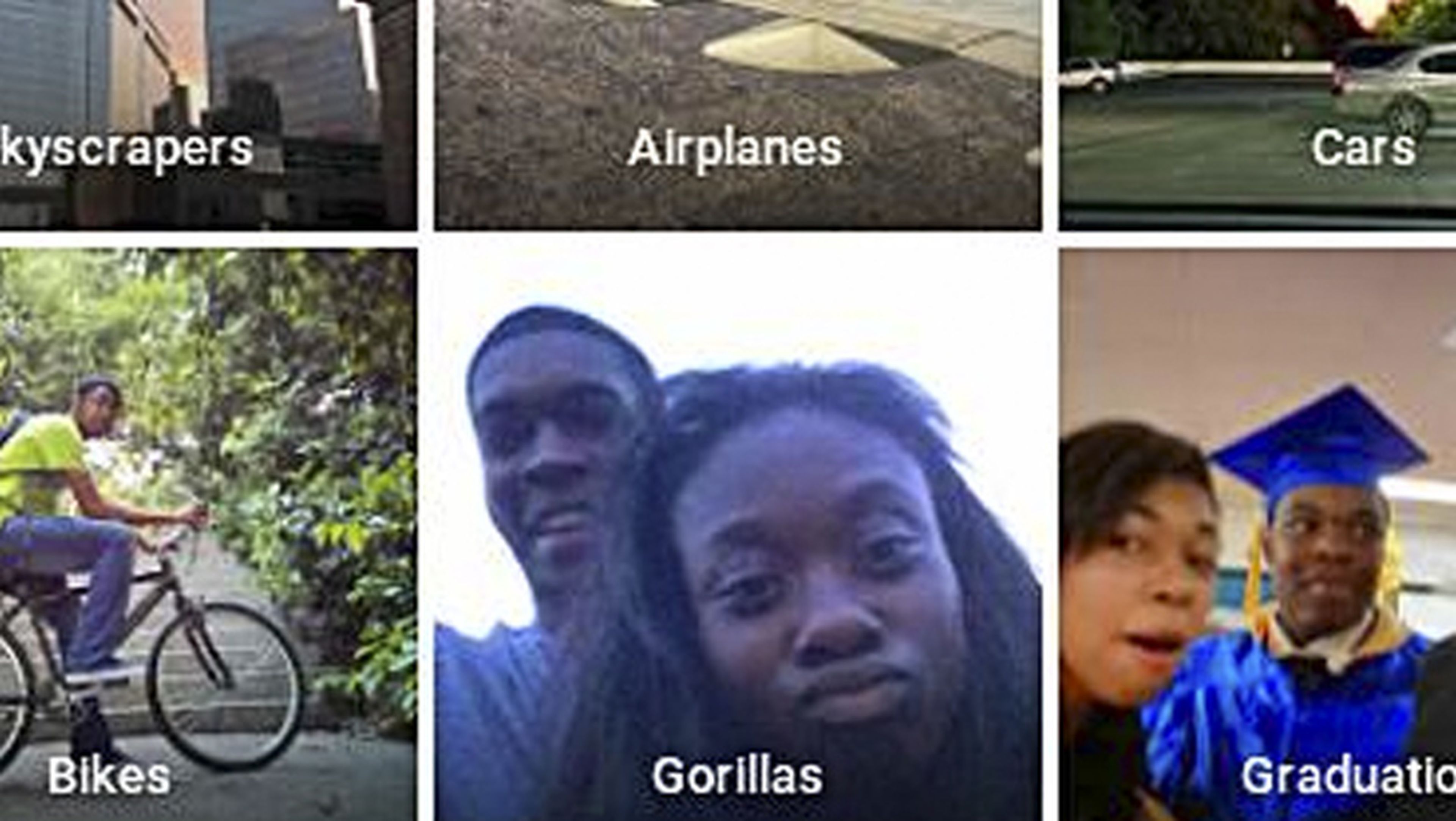 negros gorilas google fotos