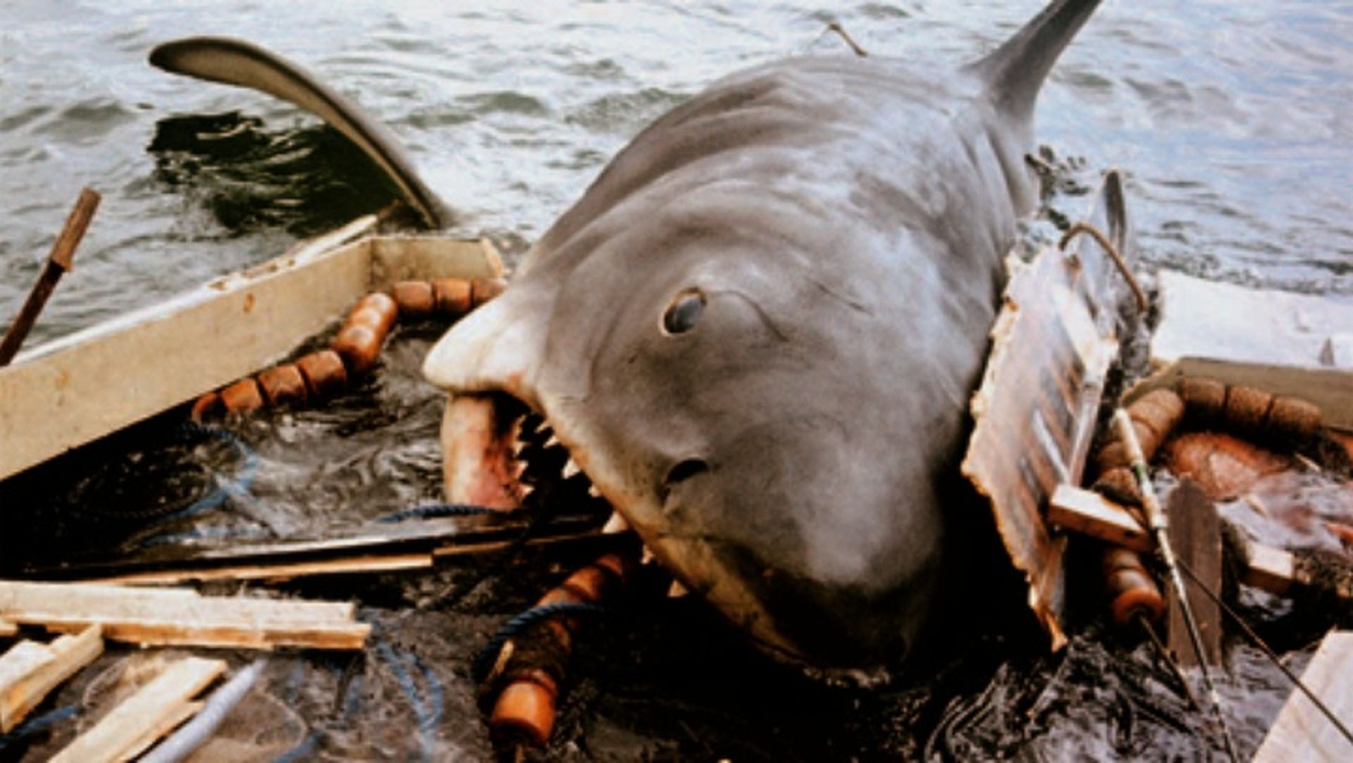 Tiburón: Las 12 imágenes más llamativas de su rodaje