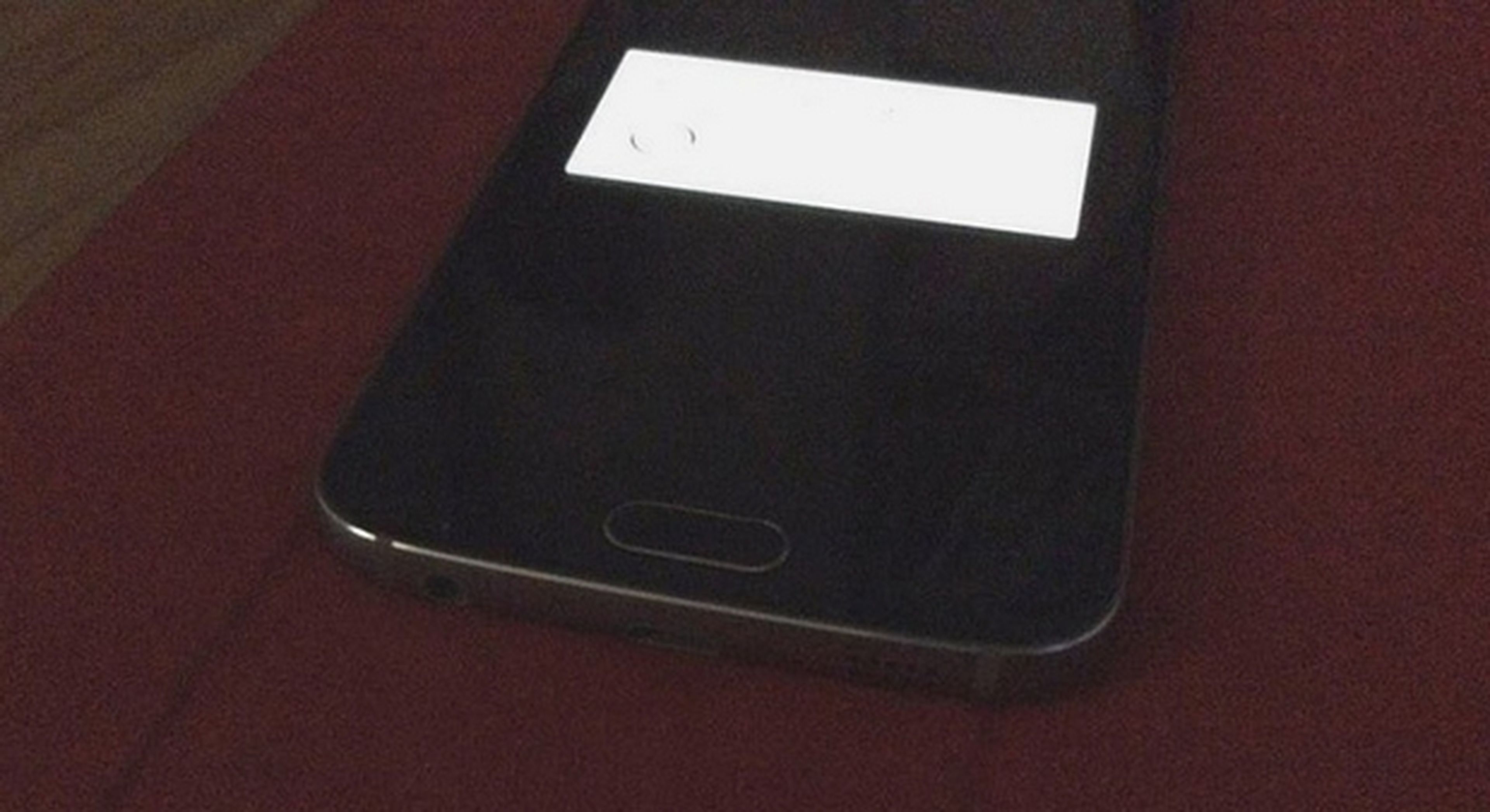 promesa Olla de crack Presidente Samsung Galaxy S6 Mini, primeras imágenes y especificaciones | Computer Hoy