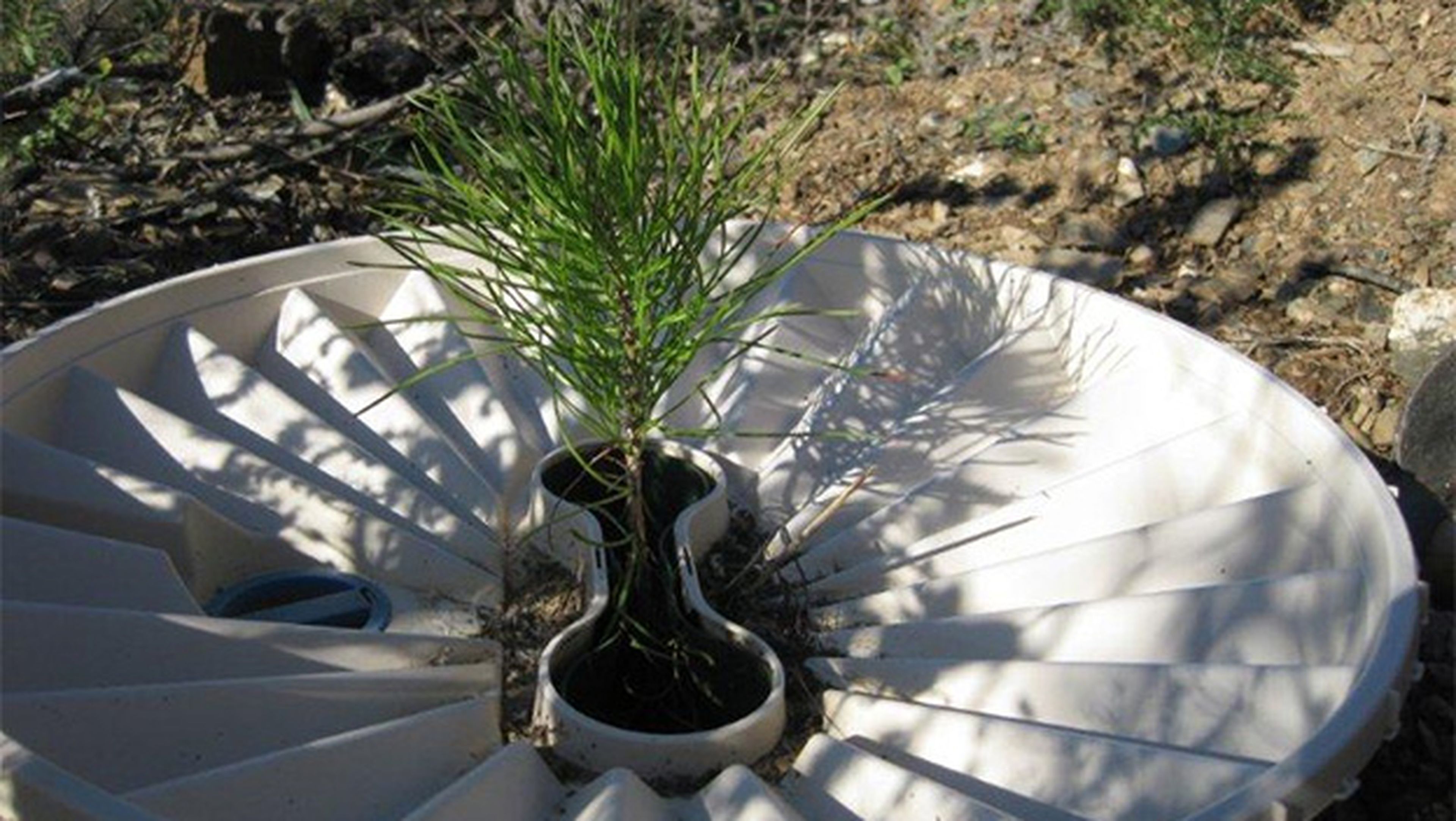 Groasis Waterboxx, la caja de agua que lucha contra la desertificación