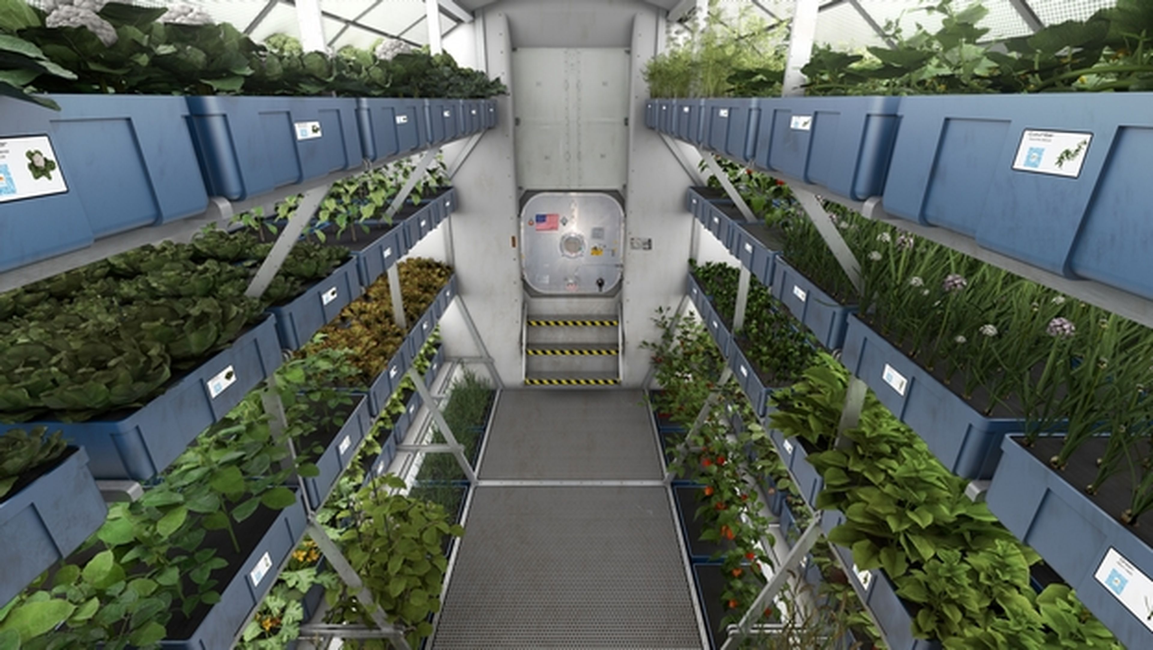 Verduras frescas en el espacio: el reto de los astronautas chinos