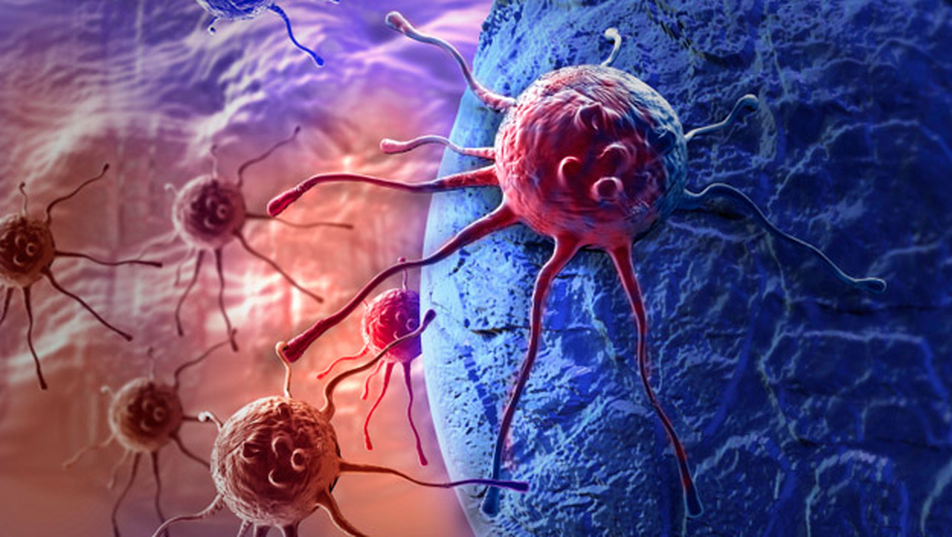 Científicos descubren apagar células cancerígenas