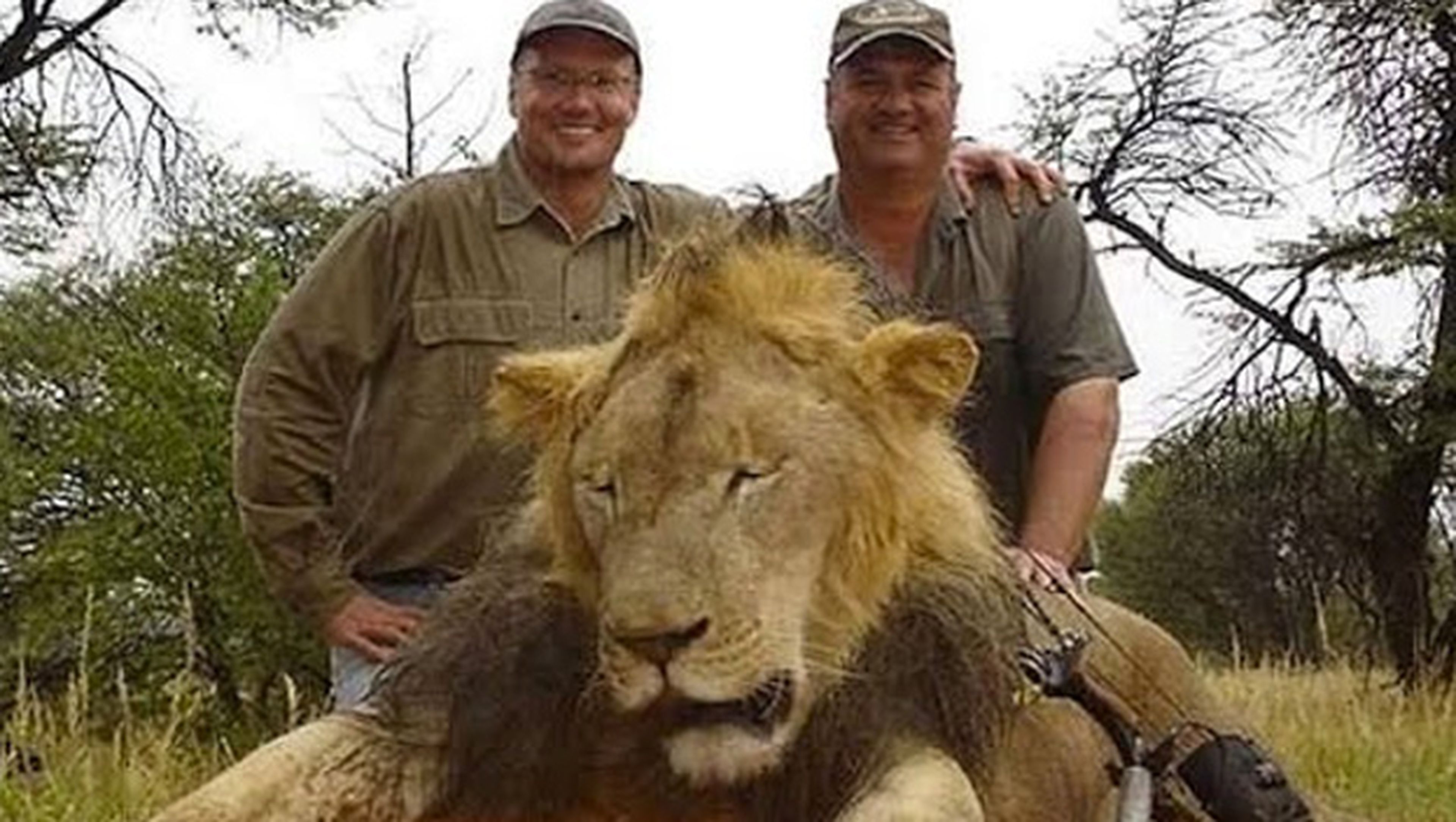 cazadores y león