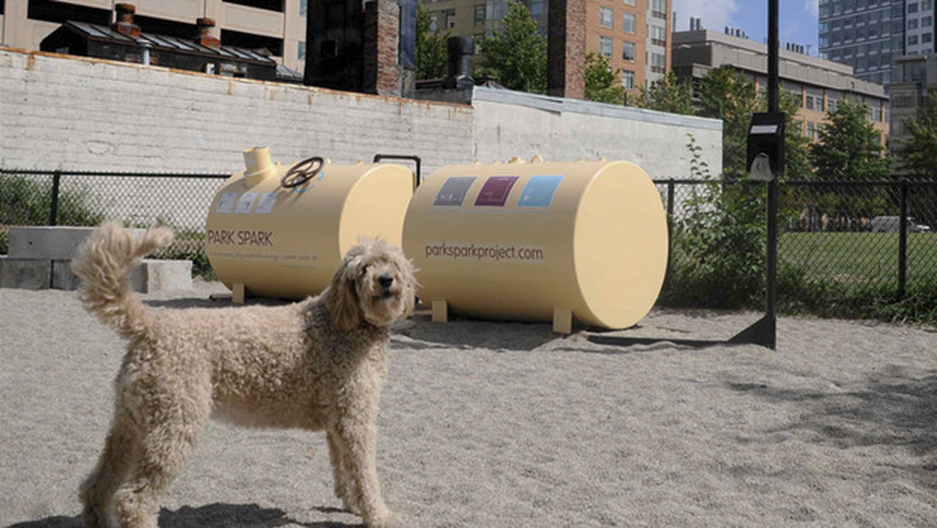 Un proyecto usará excrementos de perro para alumbrar la ciudad