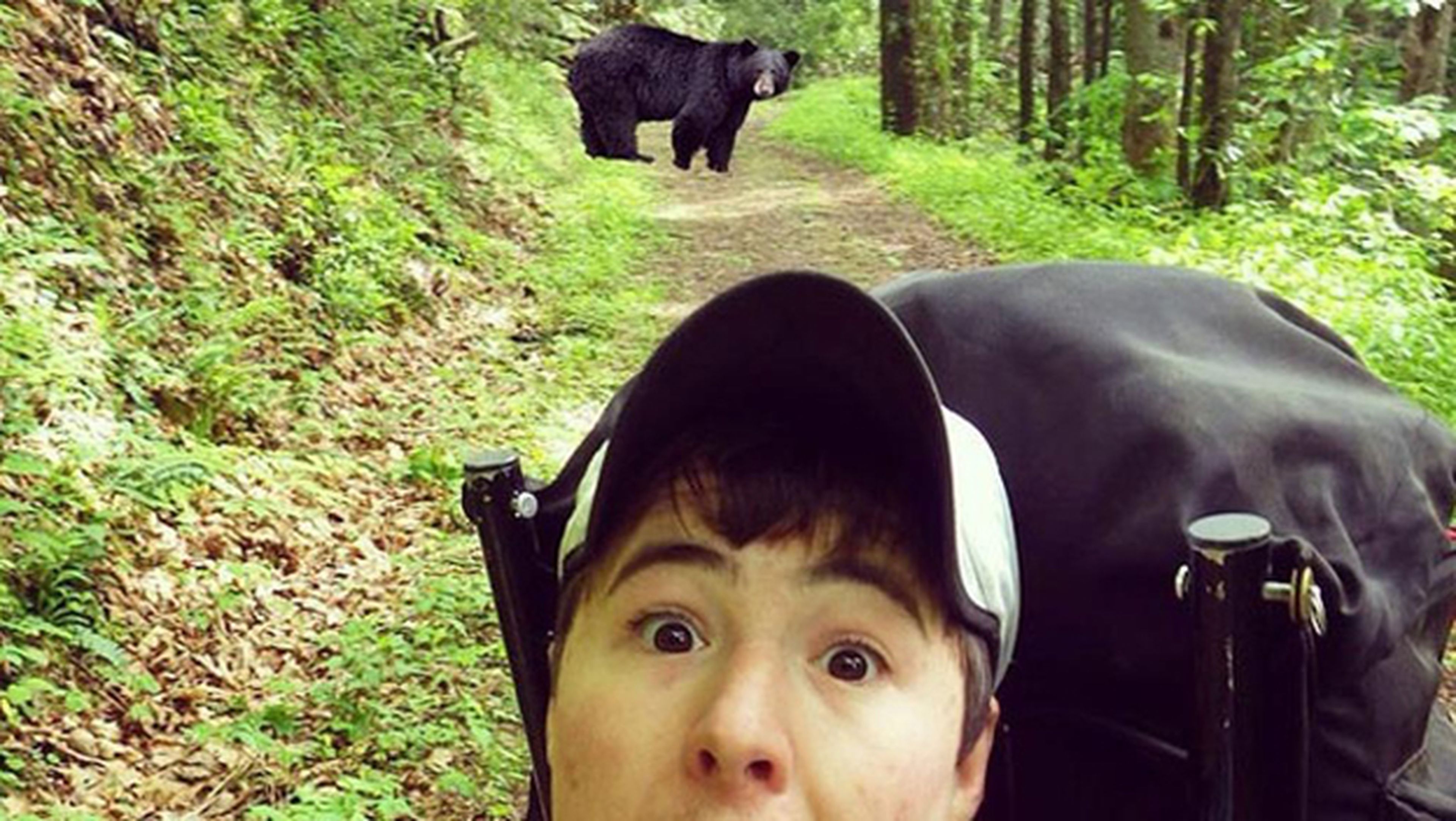 La moda de hacerse selfies con osos obliga a cerrar un parque