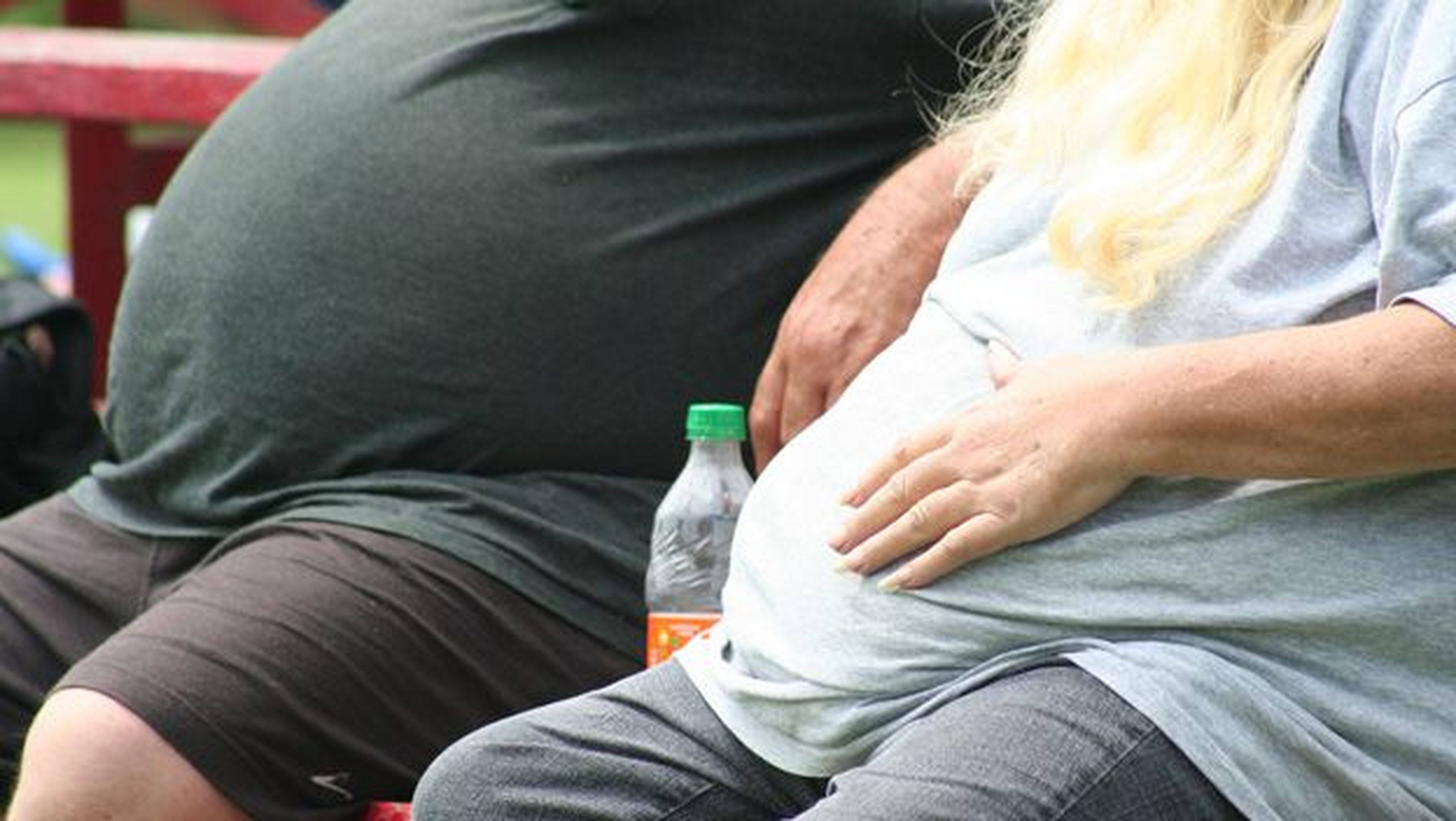 Descubren cómo descomponer las grasas para tratar la obesidad