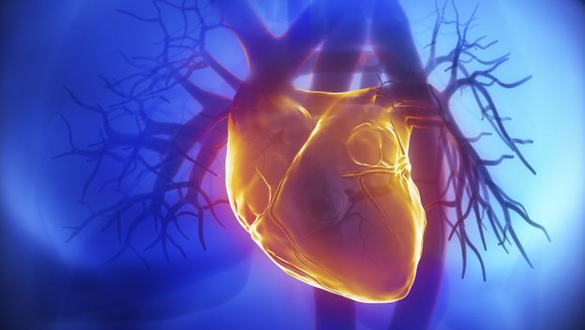 Estrategias para 'rejuvenecer' el corazón y las arterias