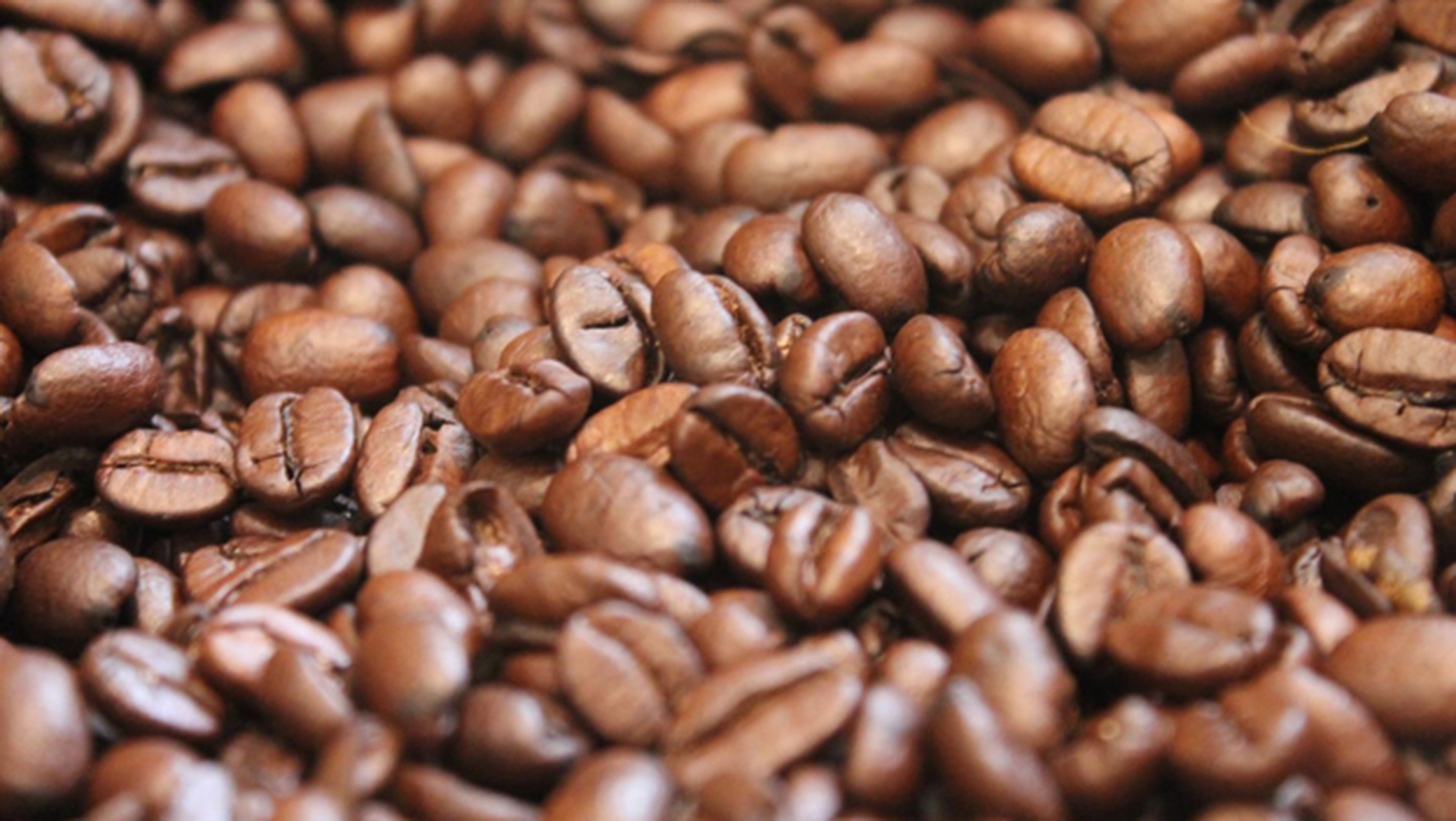 Descubren micotoxinas en marcas de café de venta en España
