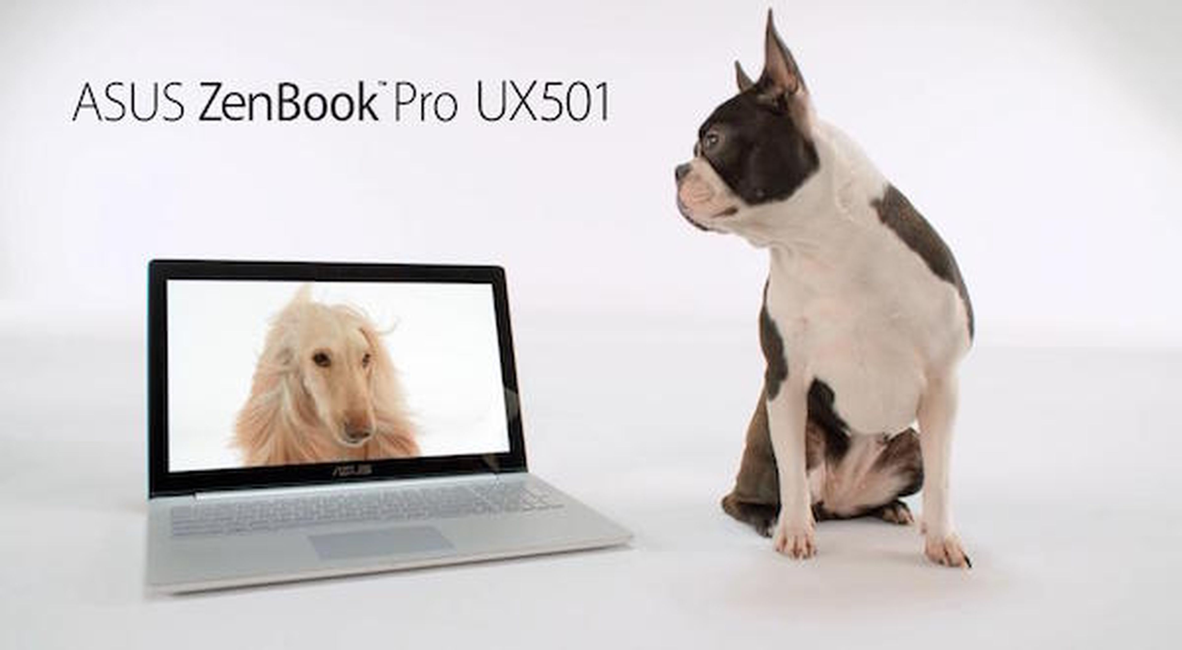 Asus SenBook Pro UX501