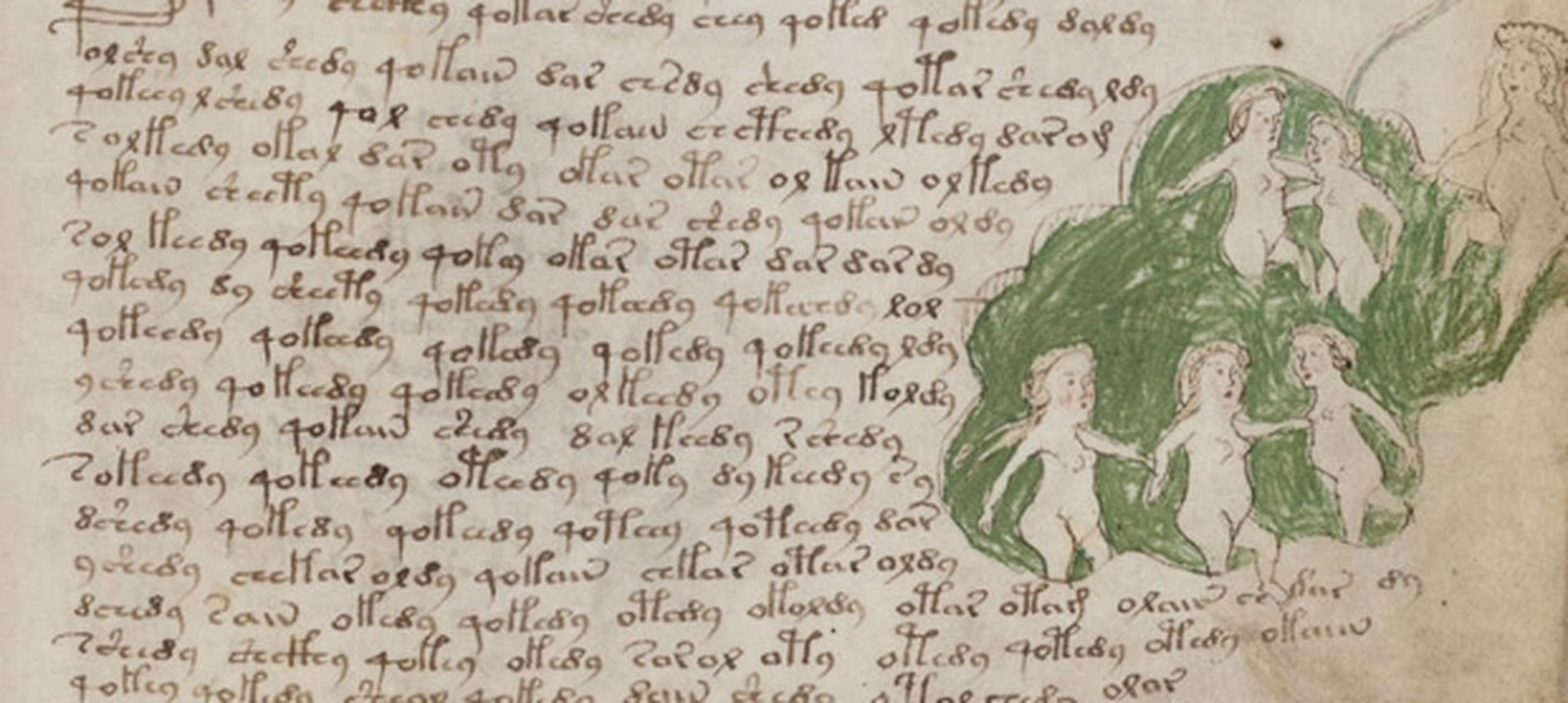 138687 codice voynich libro mas raro mundo copiara burgos - El códice Voynich, el libro más raro del mundo, se copiará en Burgos