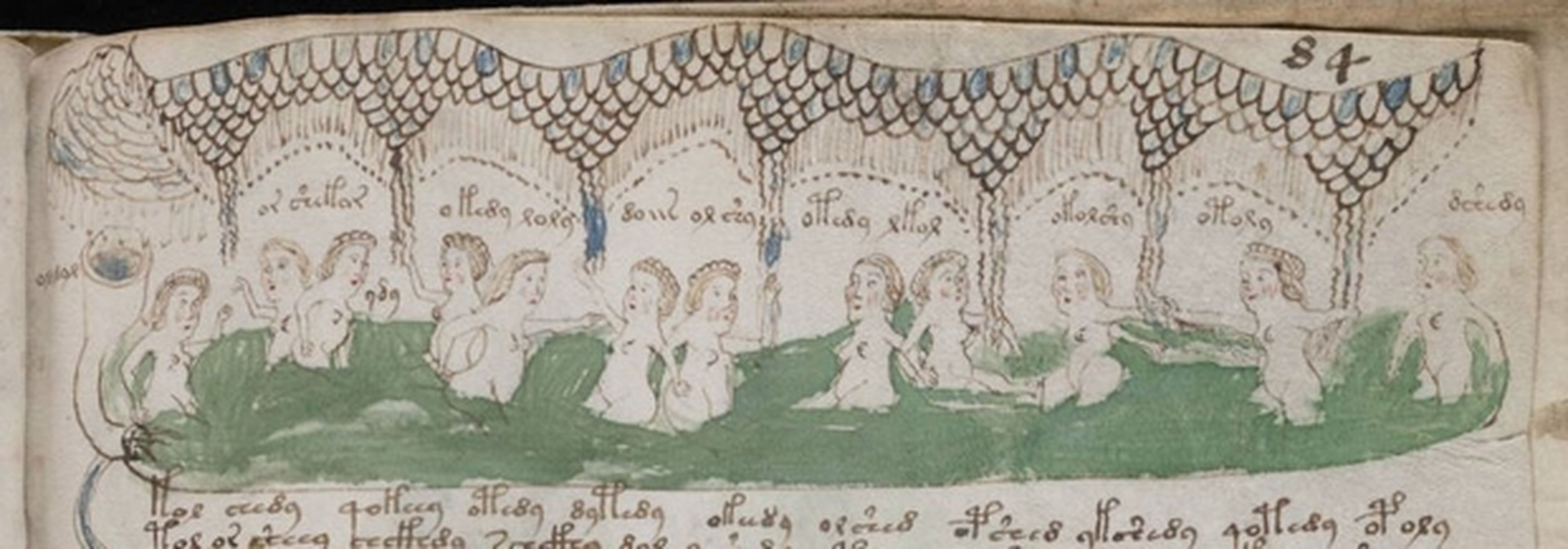 138691 codice voynich libro mas raro mundo copiara burgos - El códice Voynich, el libro más raro del mundo, se copiará en Burgos
