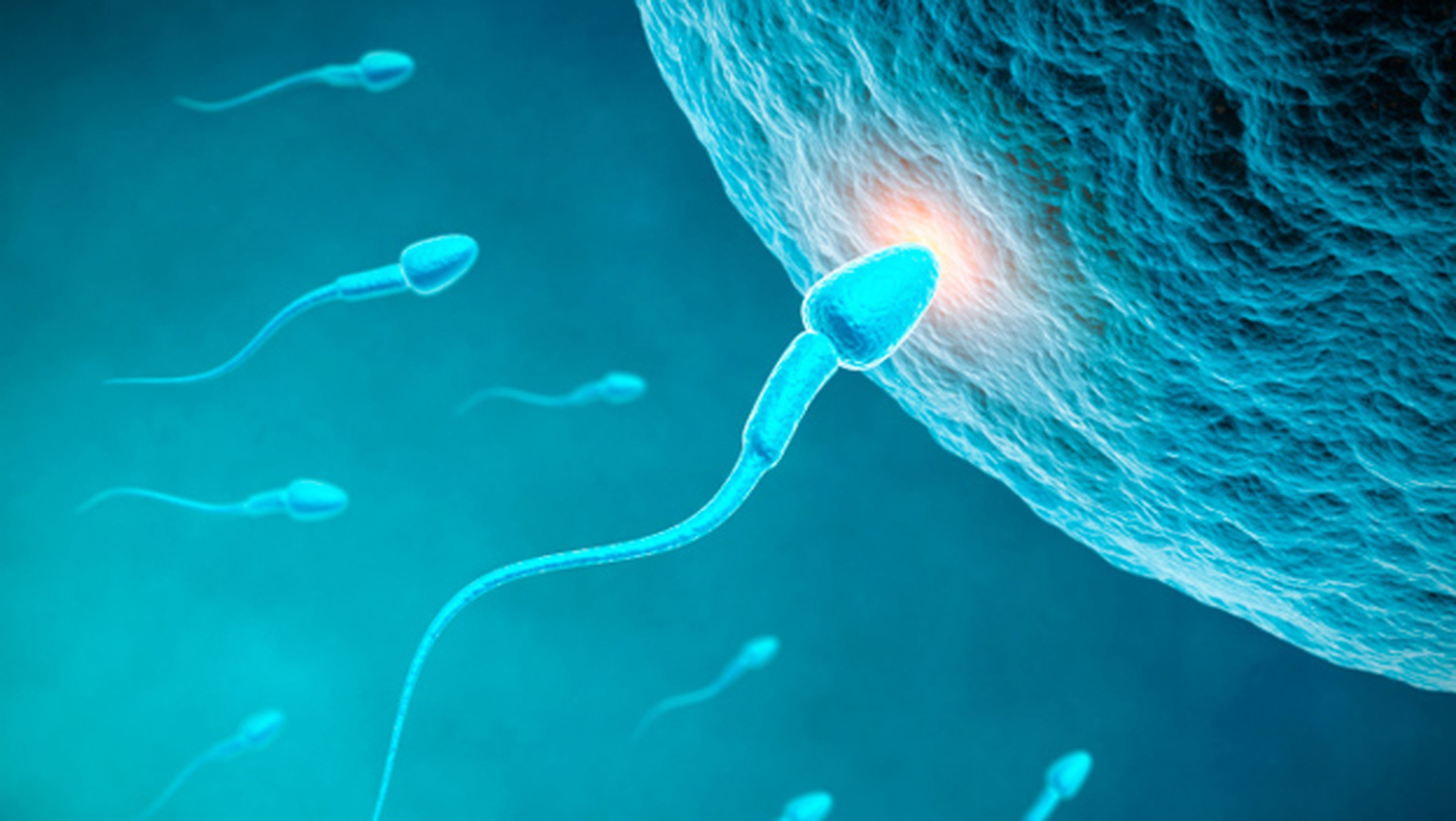 Spermbot nanorrobot, nanorrobot fecundacion, solucion infertilidad