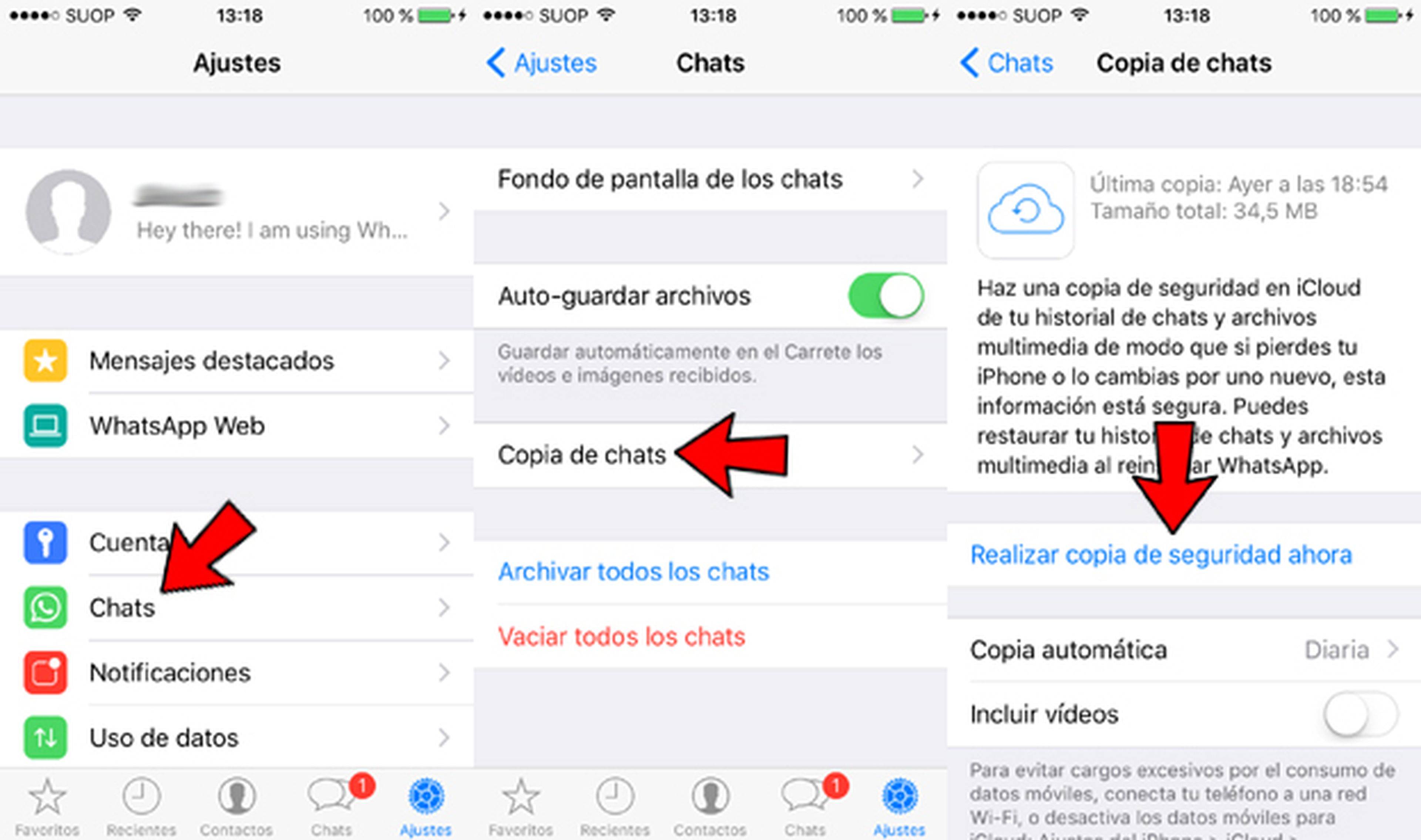 Hacer copia de seguridad de WhatsApp en un iPhone