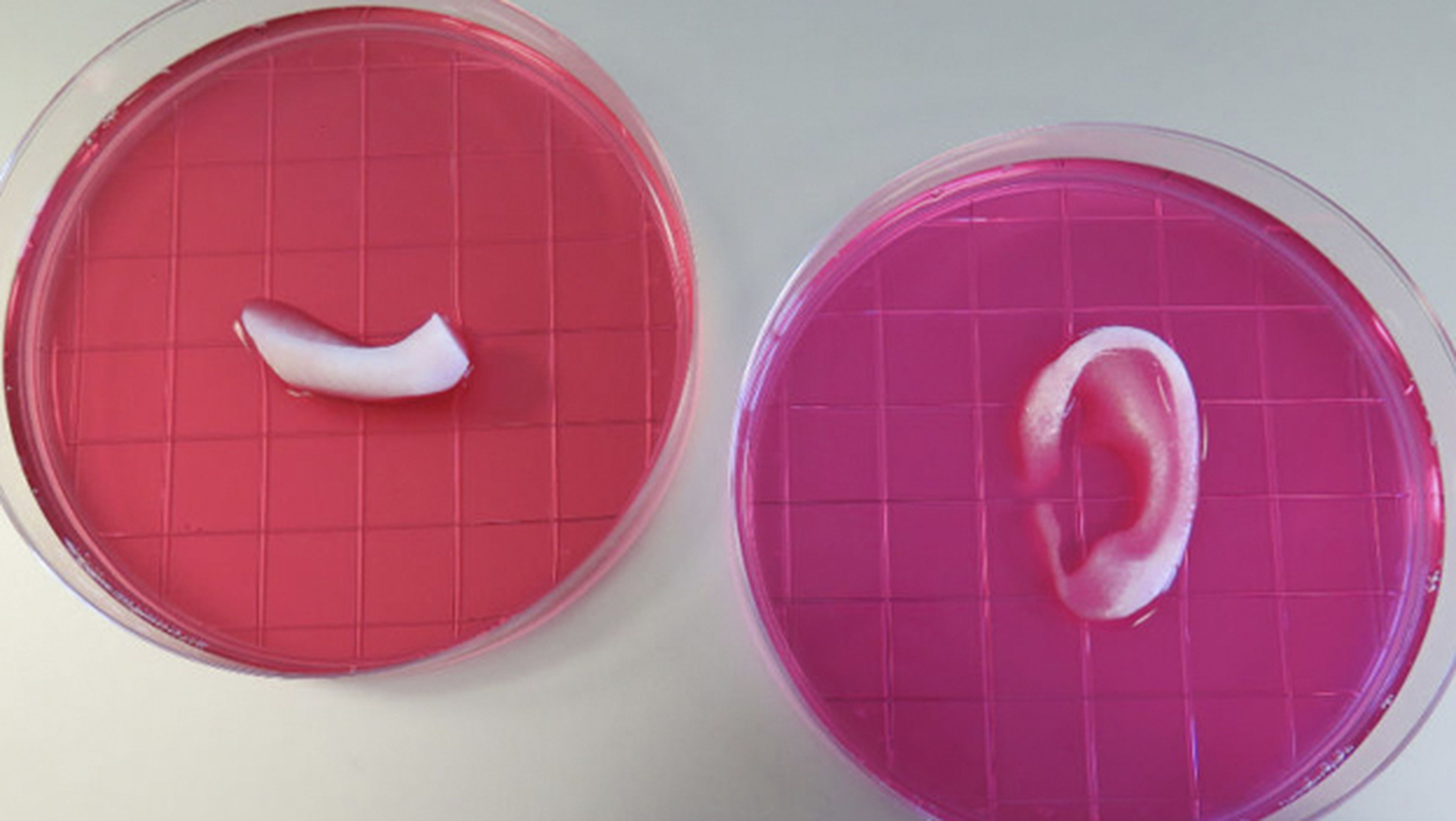 Tejidos humanos impresos en 3D