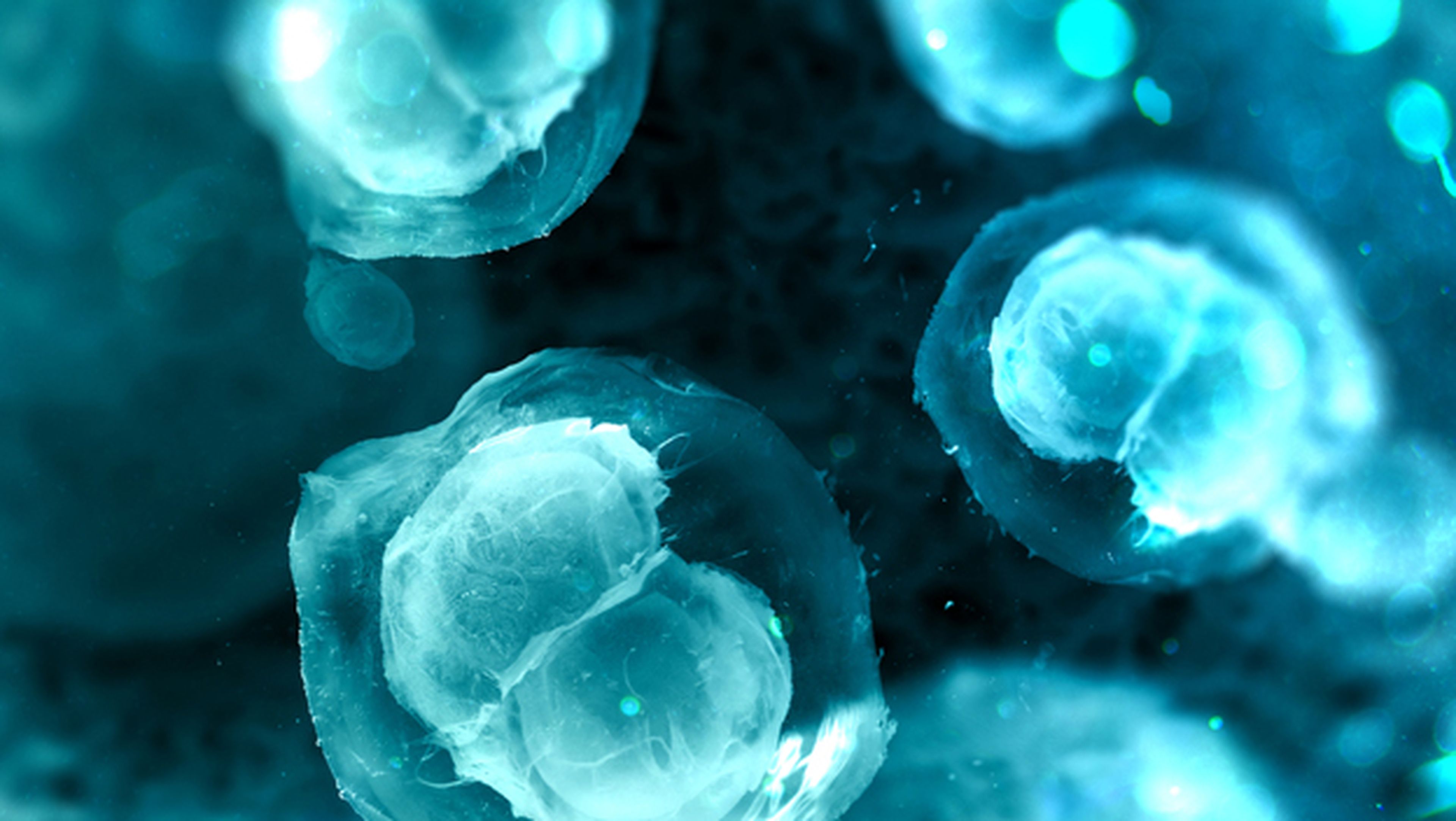 Nueva técnica reproductiva crea esperma con células madre