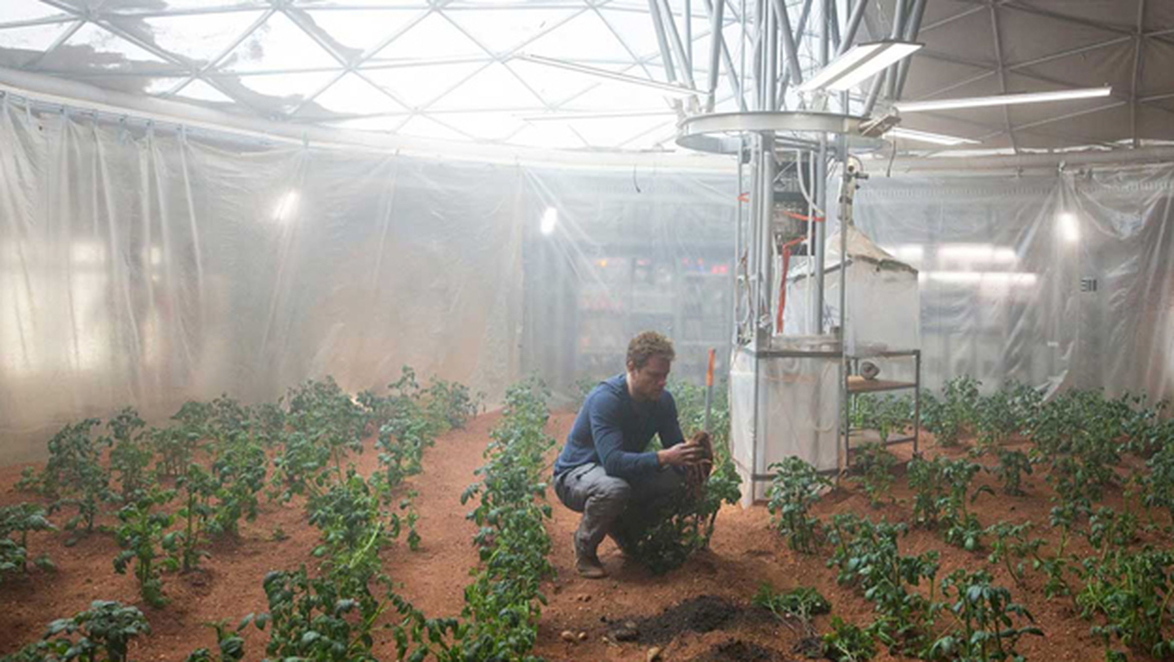 Cultivar verduras y hortalizas en Marte ya es posible